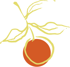 Drawing of a plant with several thin, curved yellowish branches and a round orange fruit or seed at the base.