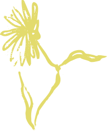 A simple, stylized yellow flower with a single stem and a large blossom.