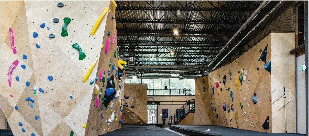 Oso (5).jpg