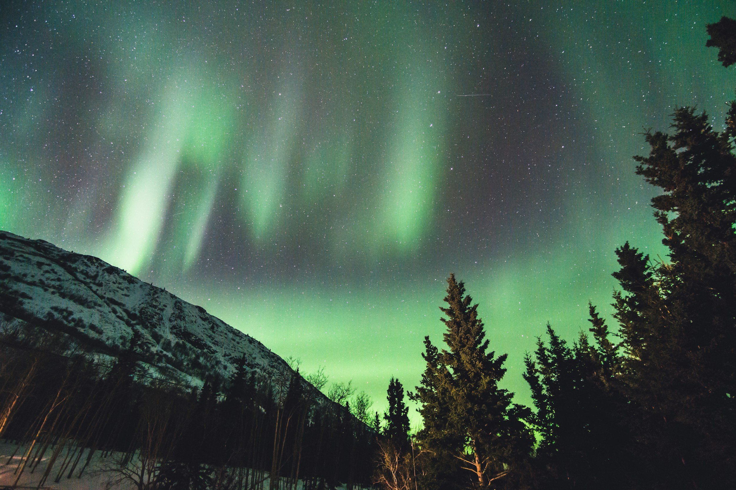 Northern Lights (Aurora Borealis) in the night sky above a snow-covered mountain and silhouettes of pine trees.