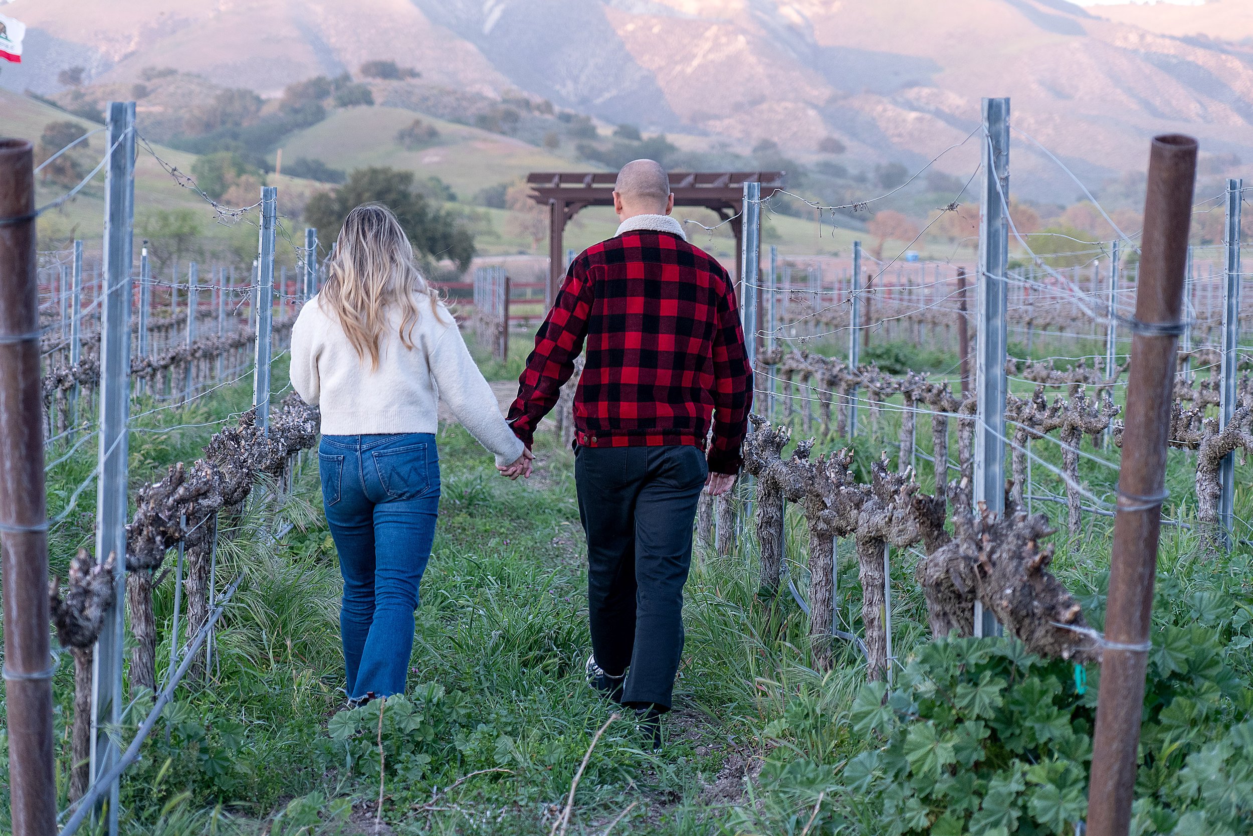 Exploring Wine Country