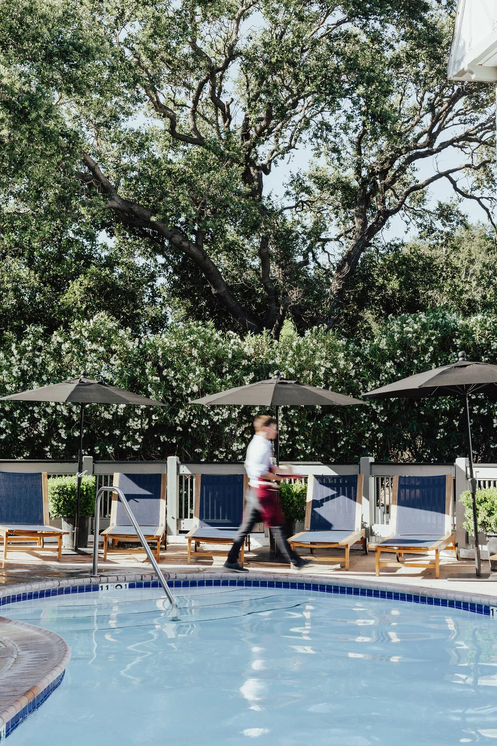 Cocktails by the pool - Vinland Solvang