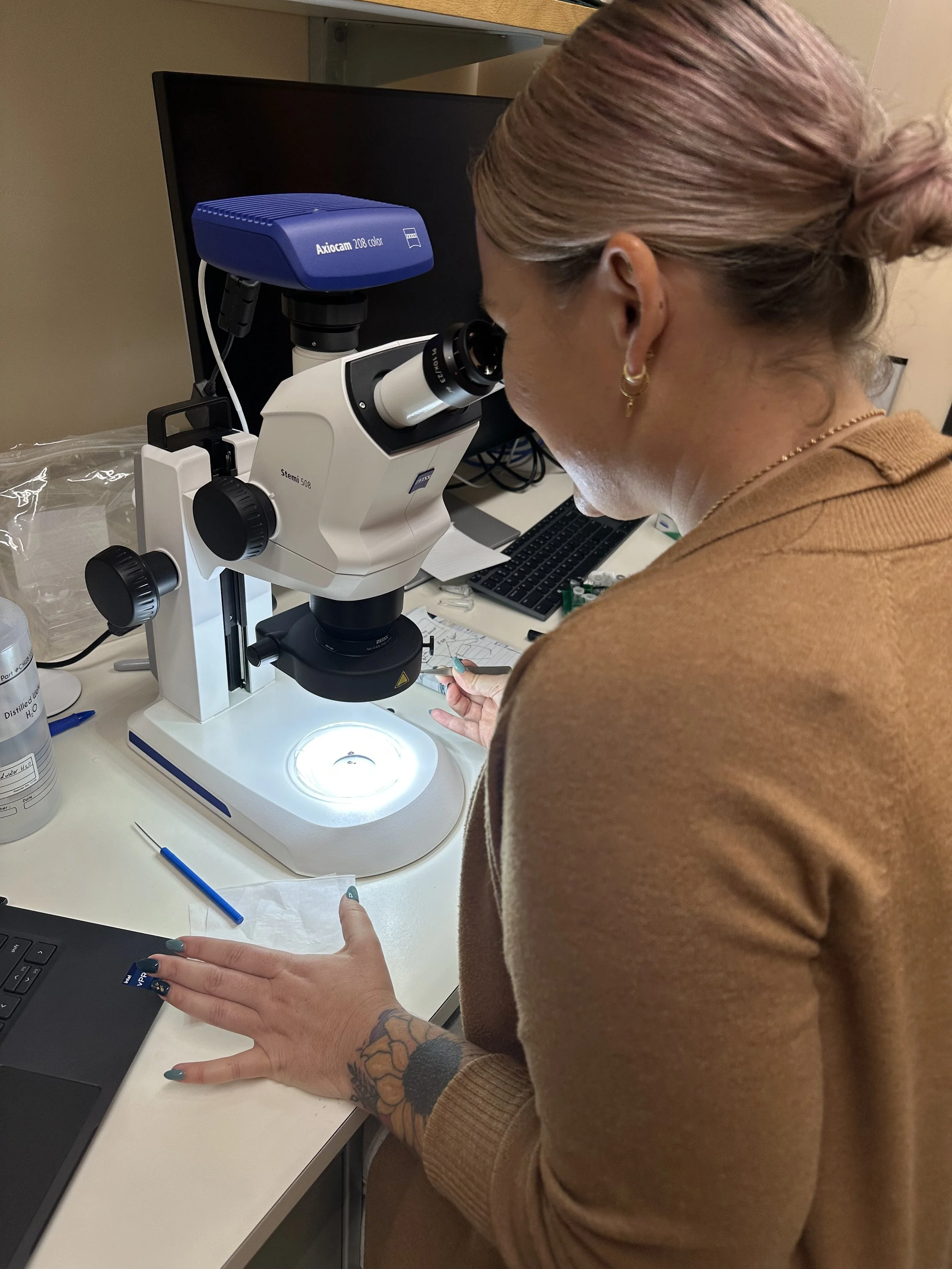 Krystle Hensley from the USA learning how to identify ticks