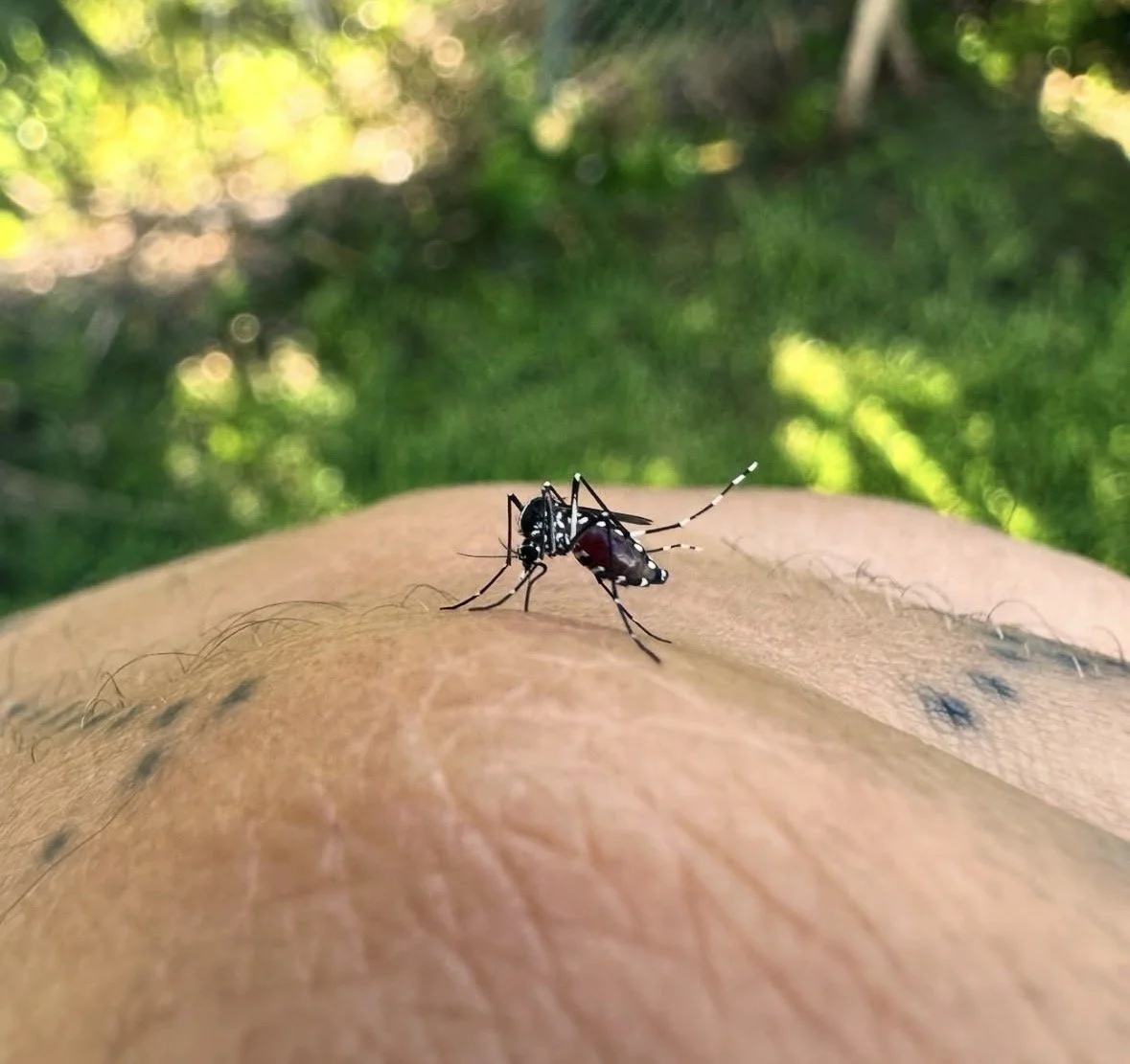 Galveston's biggest threat