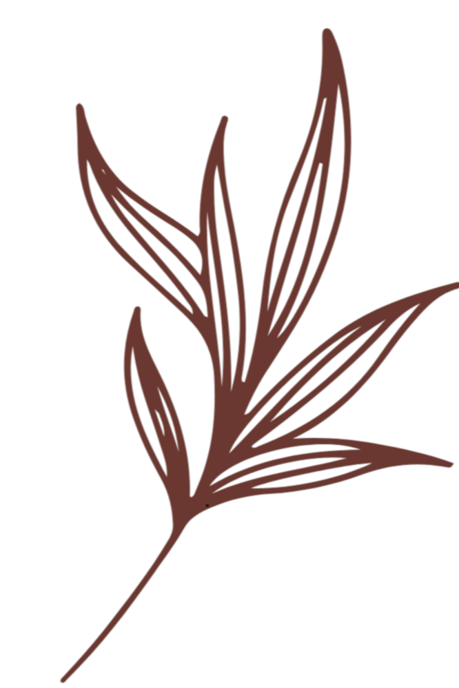 Illustration of a brown plant with multiple long, narrow leaves on a black background.