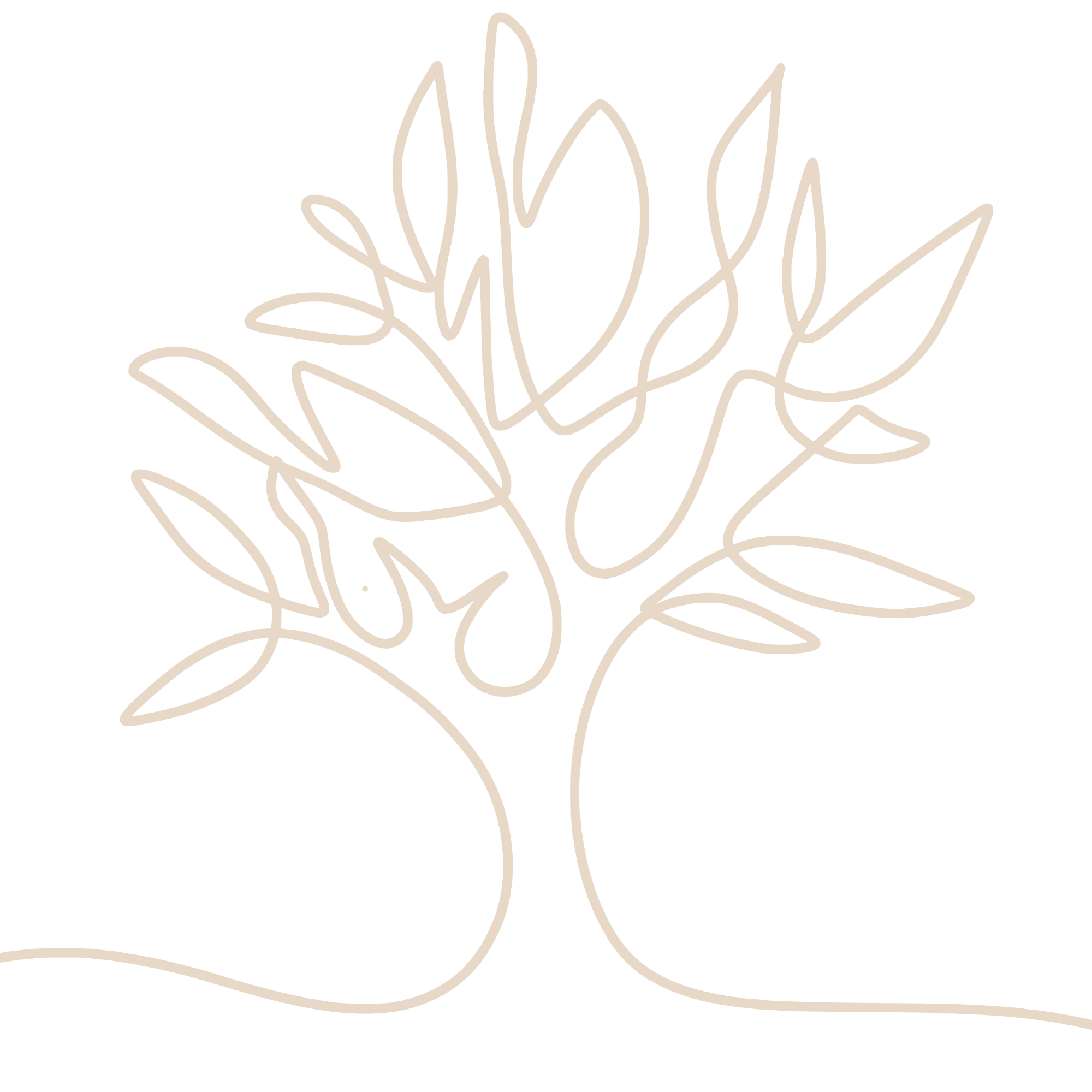 Line drawing of a plant with leaves on a black background.