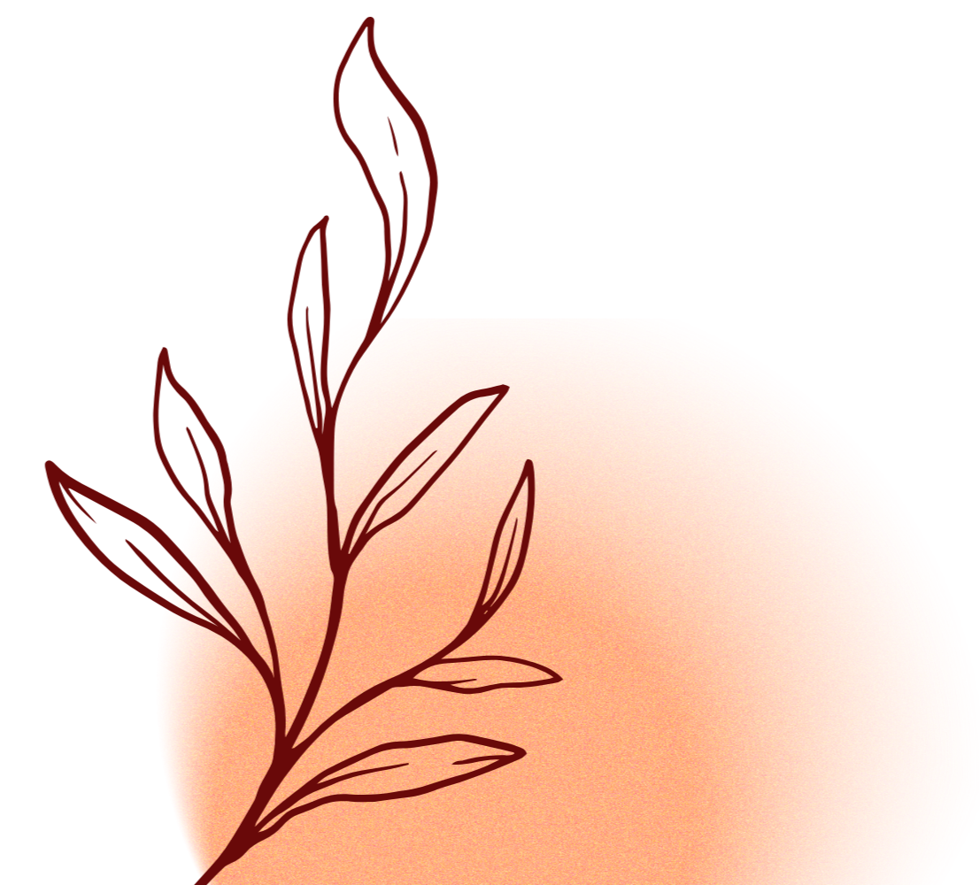 Illustration of a peach with a branch and leaves in front of it.