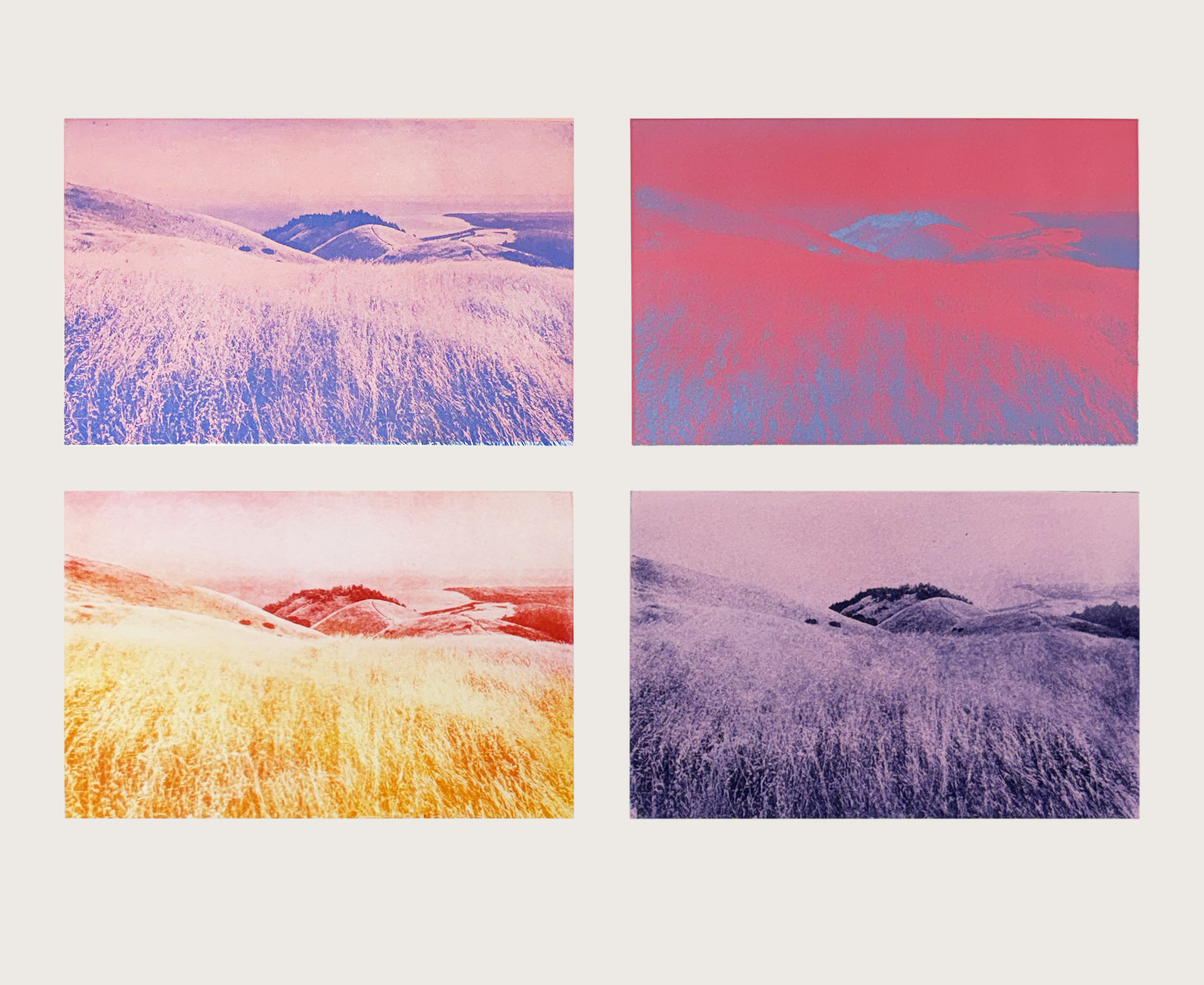 Solarplate etchings using four different techniques to create a quadriptych print of Bolinas Ridge (Bo Ridge) in Marin County