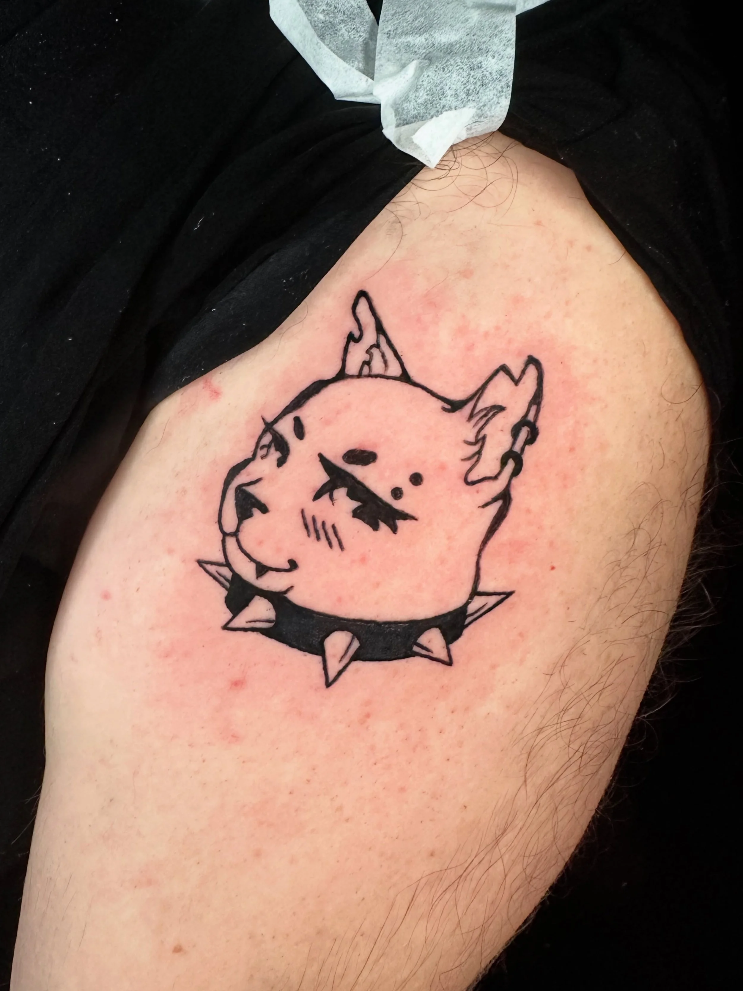 Punk rock cat 🐱 (apprentice tattoo #6 is all done ☺️). This one was super fun to draw up and finally tattoo. I&rsquo;m super pumped to be tattooing clients now and can&rsquo;t wait to wrap up some tattoos later this month 💕 

If you have been seein