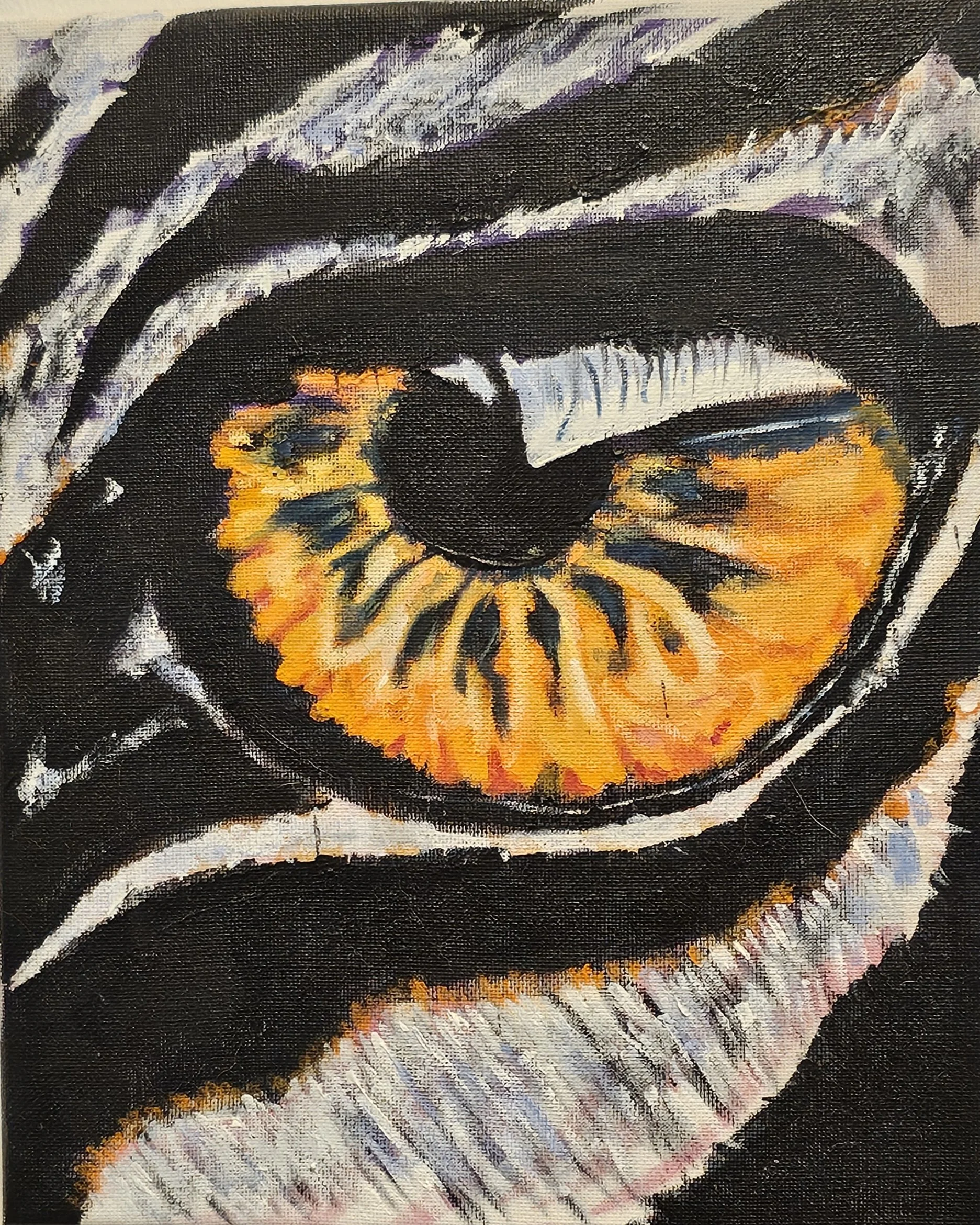 Zebra Soul