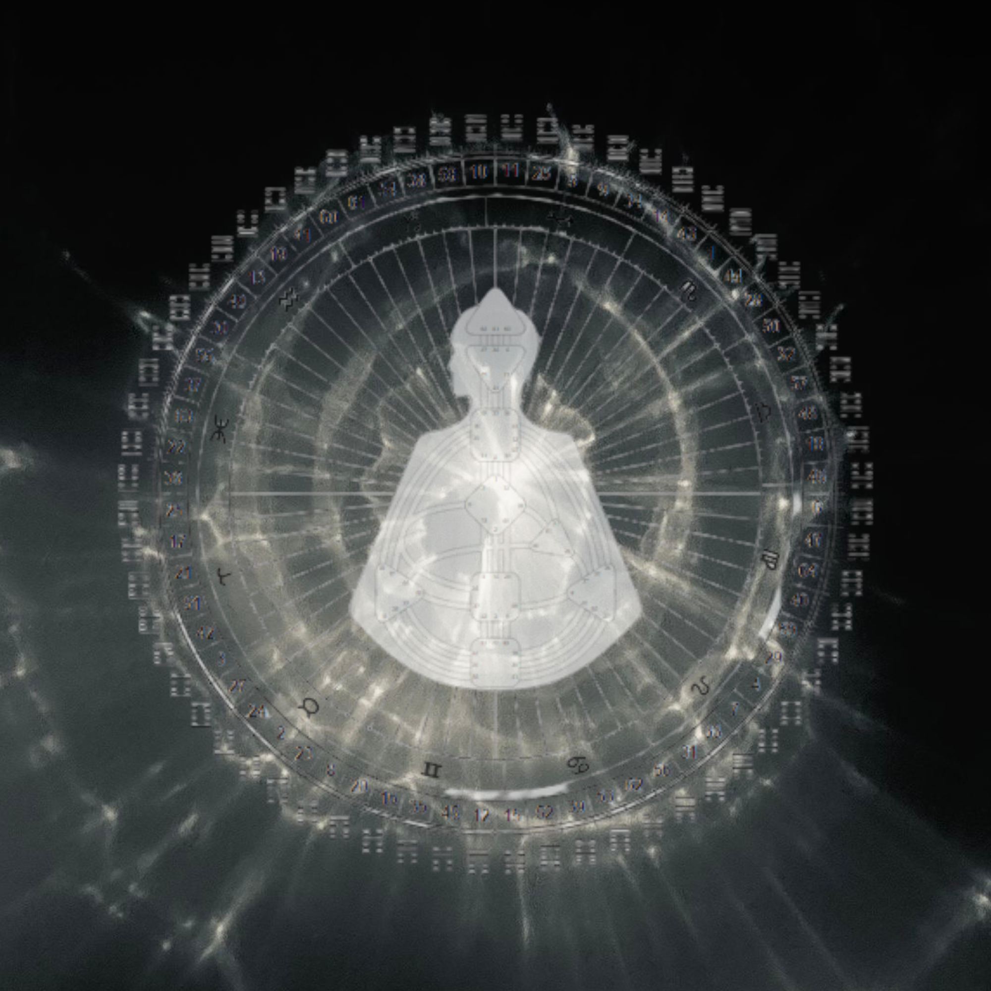 Tara Bach (4).png