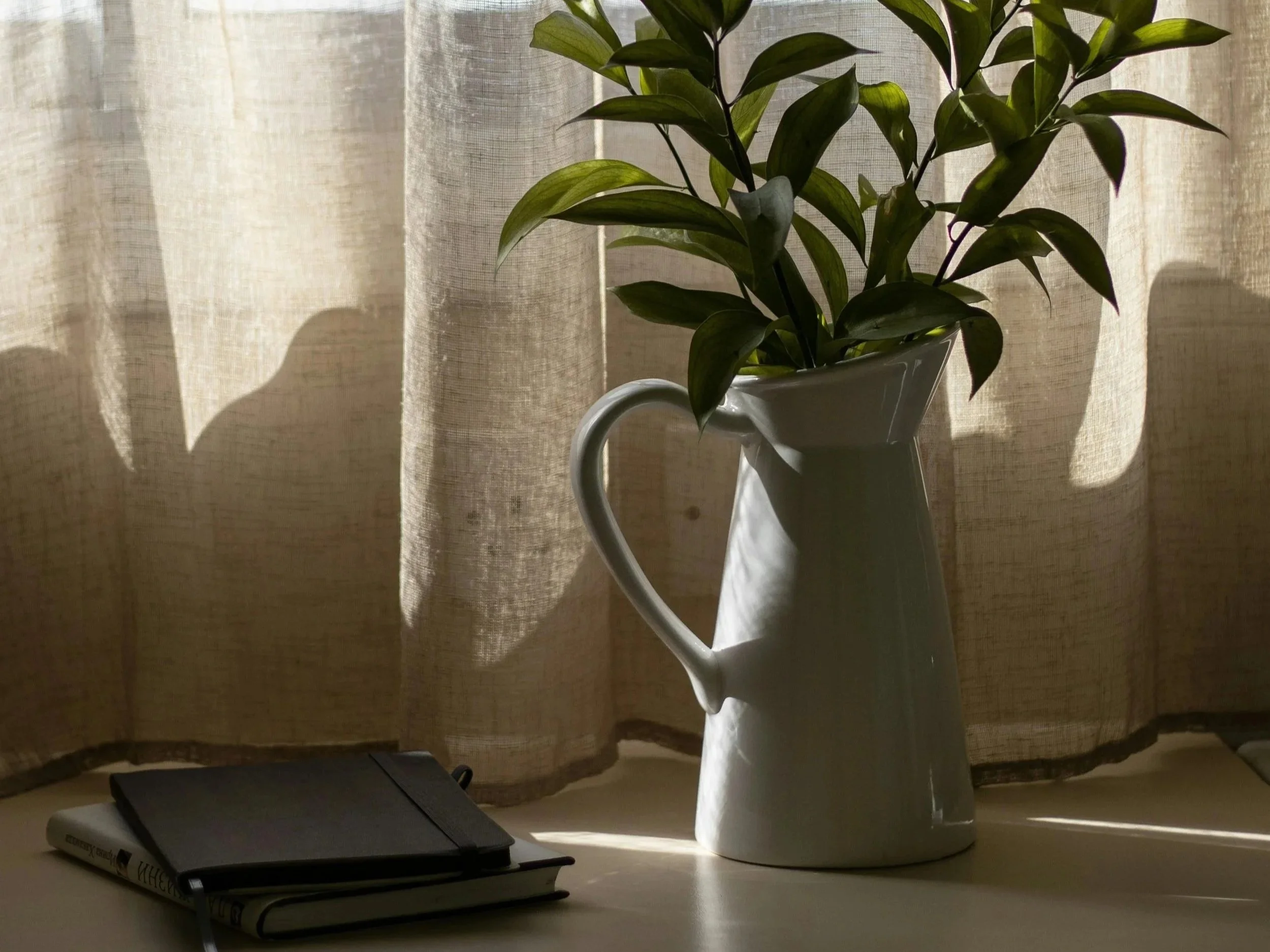 A potted green plant with large leaves placed on a white surface in front of a semi-transparent beige curtain. Emulating peace and a reminder of the quiet, safe place available in counselling.