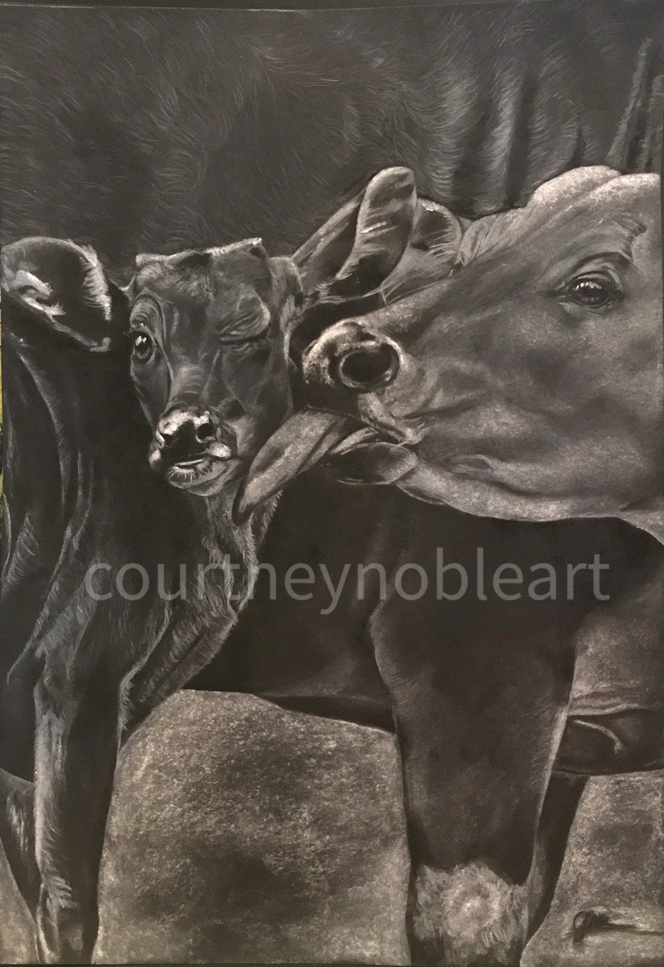 A Mother’s Love - Prints
