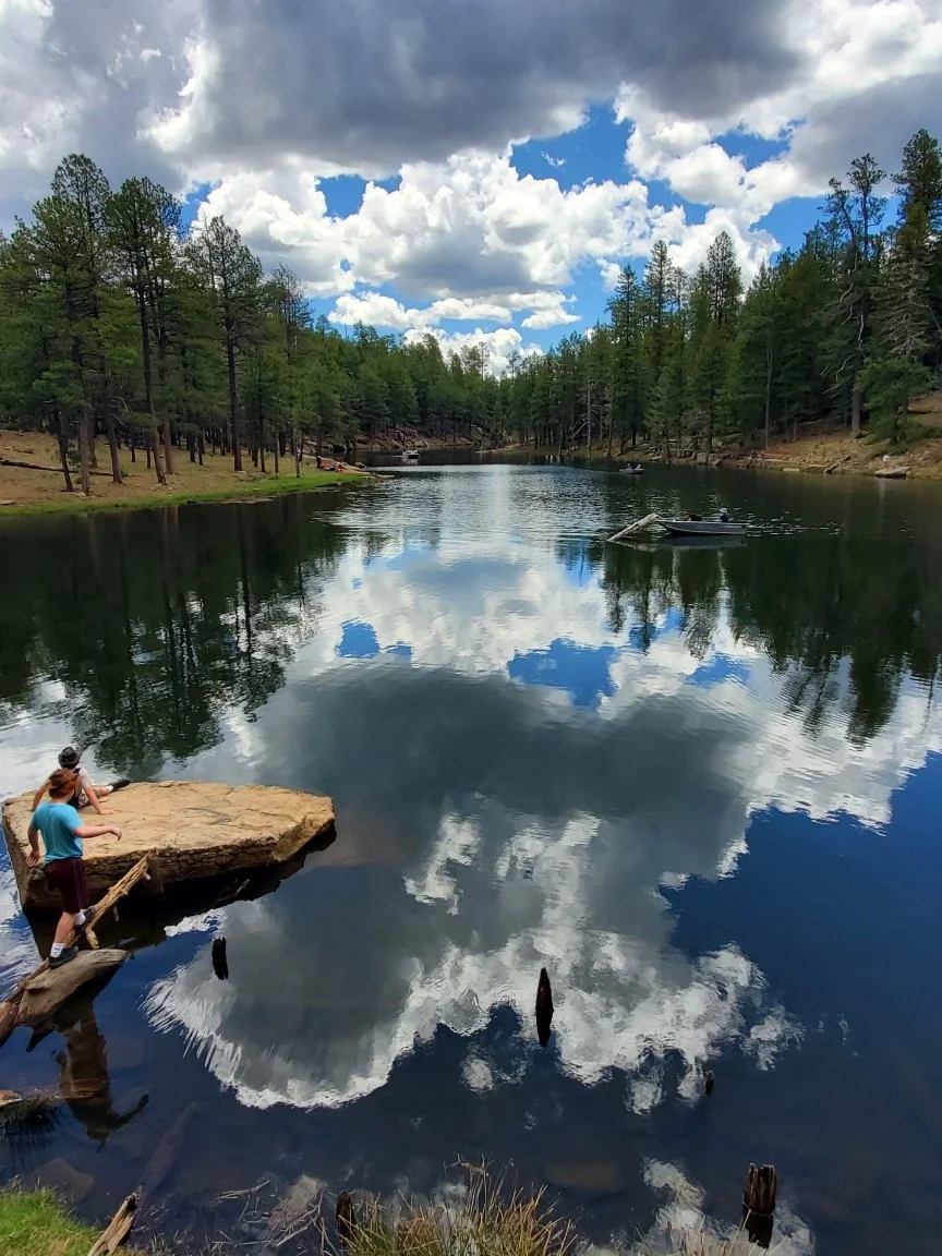 Sometimes we need to find a place to stop, gather ourselves and regroup.
