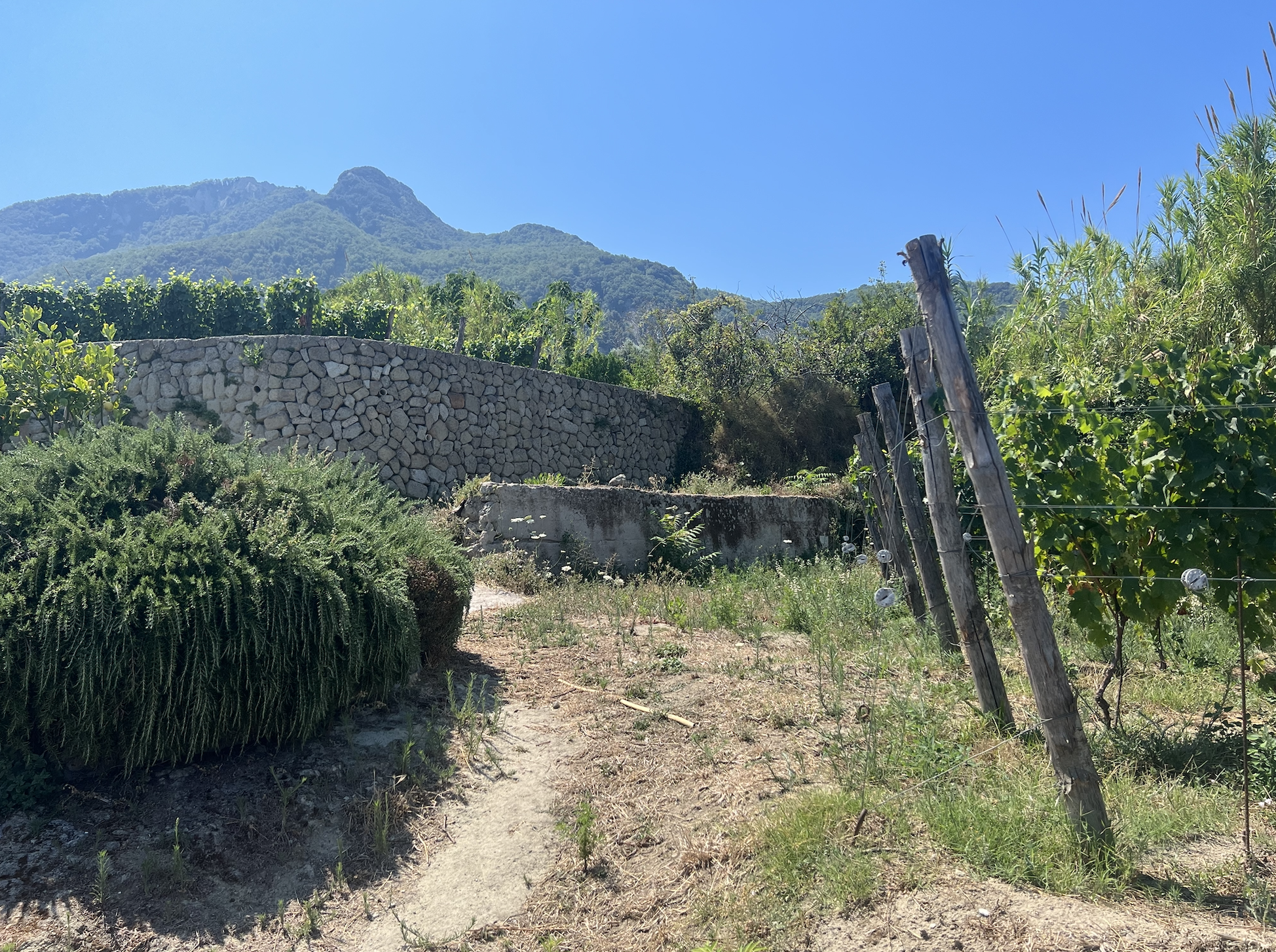 Screen Shot 2024-08-29 at 10.10.27 AM.png