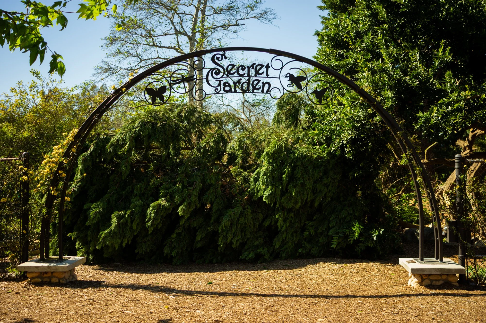 Secret Garden - Huntington Central Park