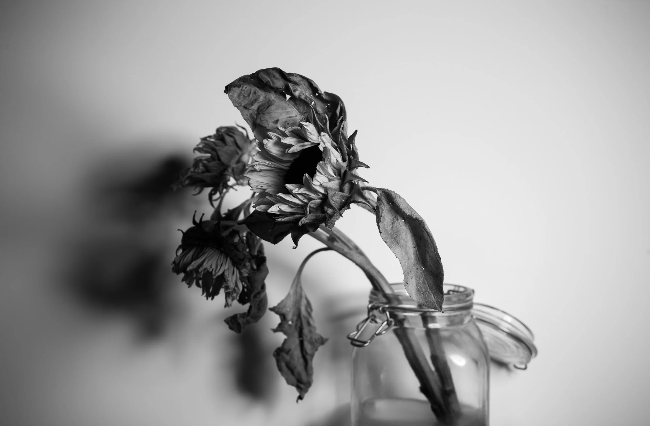 Broken (Introspection)