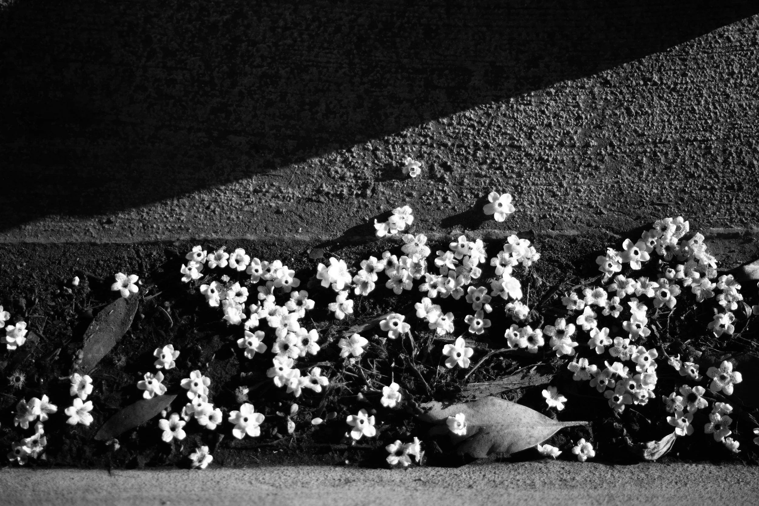 Her eyes sparkling bright, 3.9.2025