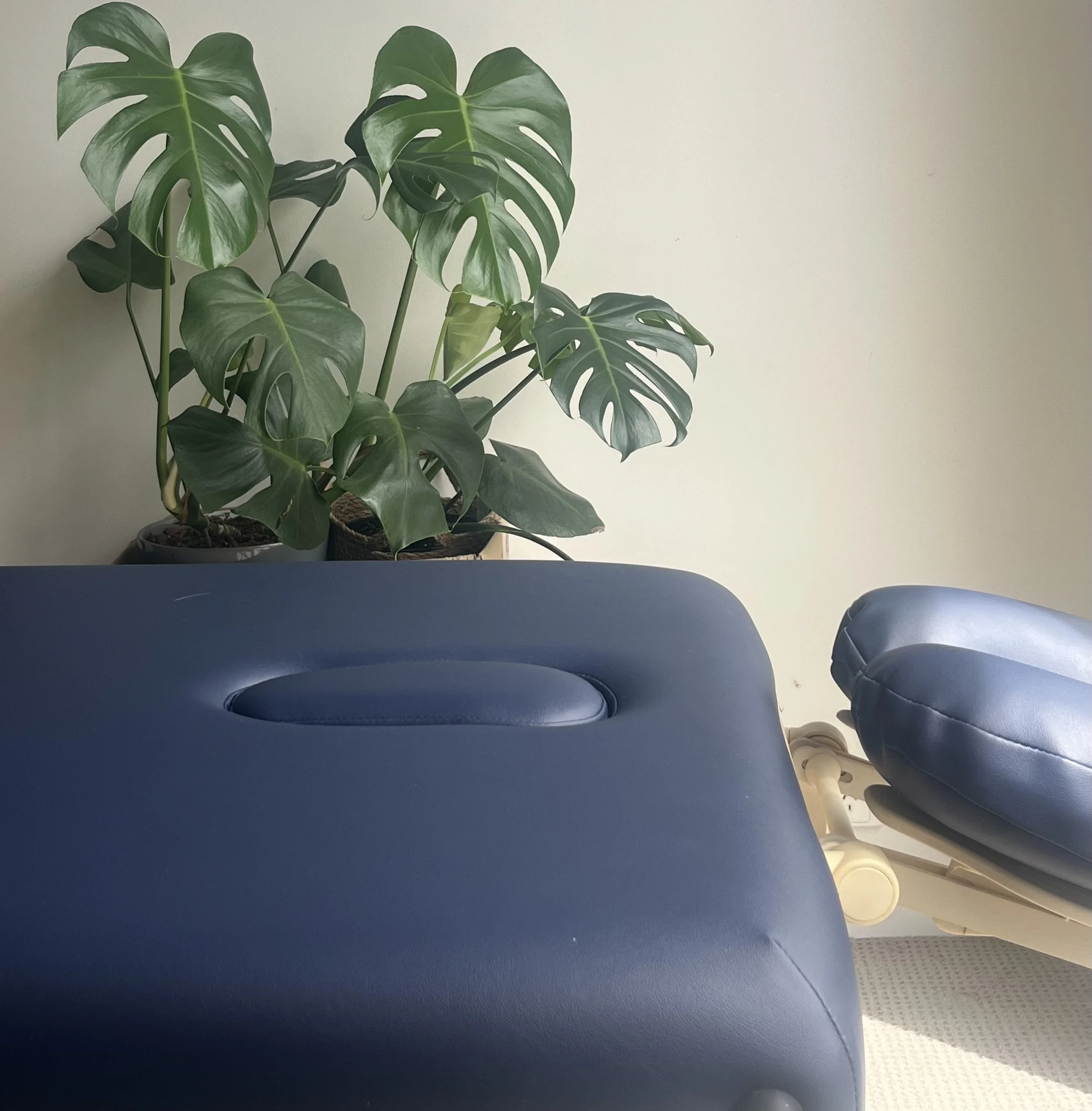 Blue massage table, a blue with head rest and a large potted Monstera plant in the background.
