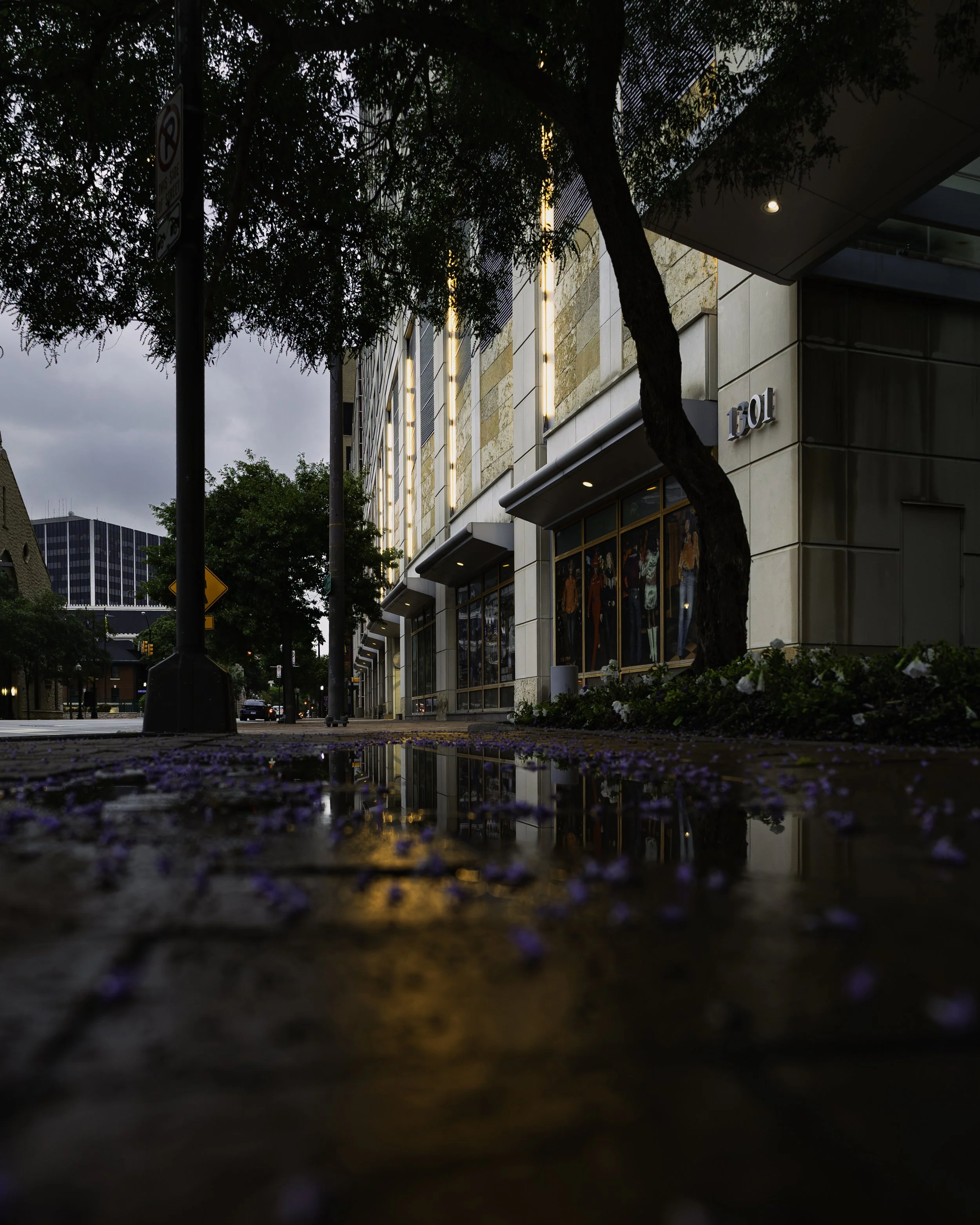 city no car.jpg