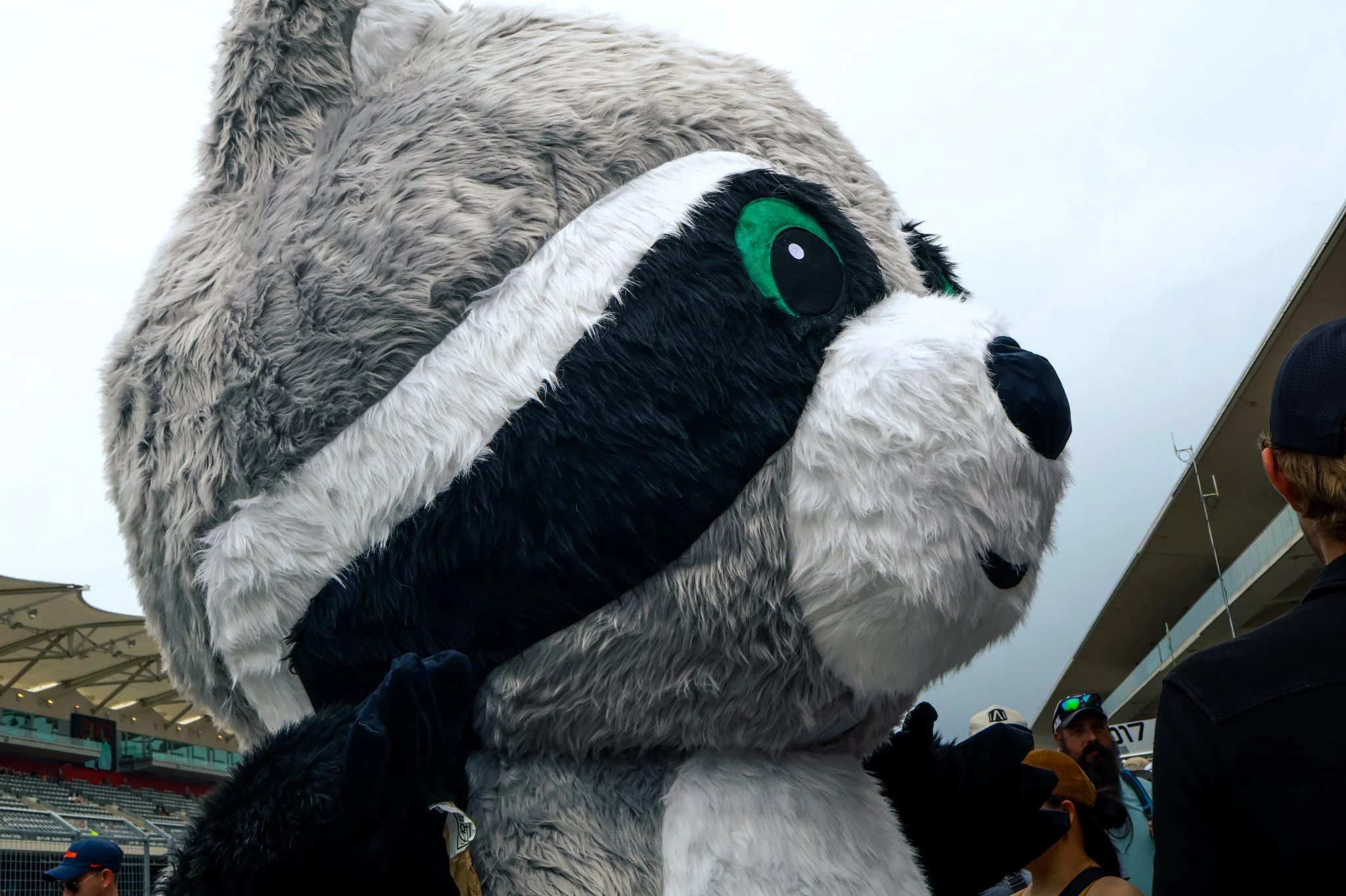 Vandals Mascot.jpg