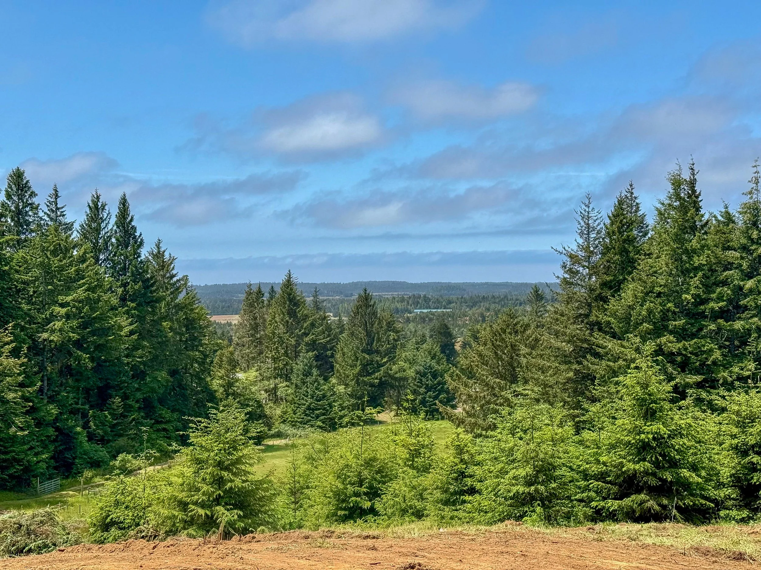 homesite view 2.jpeg
