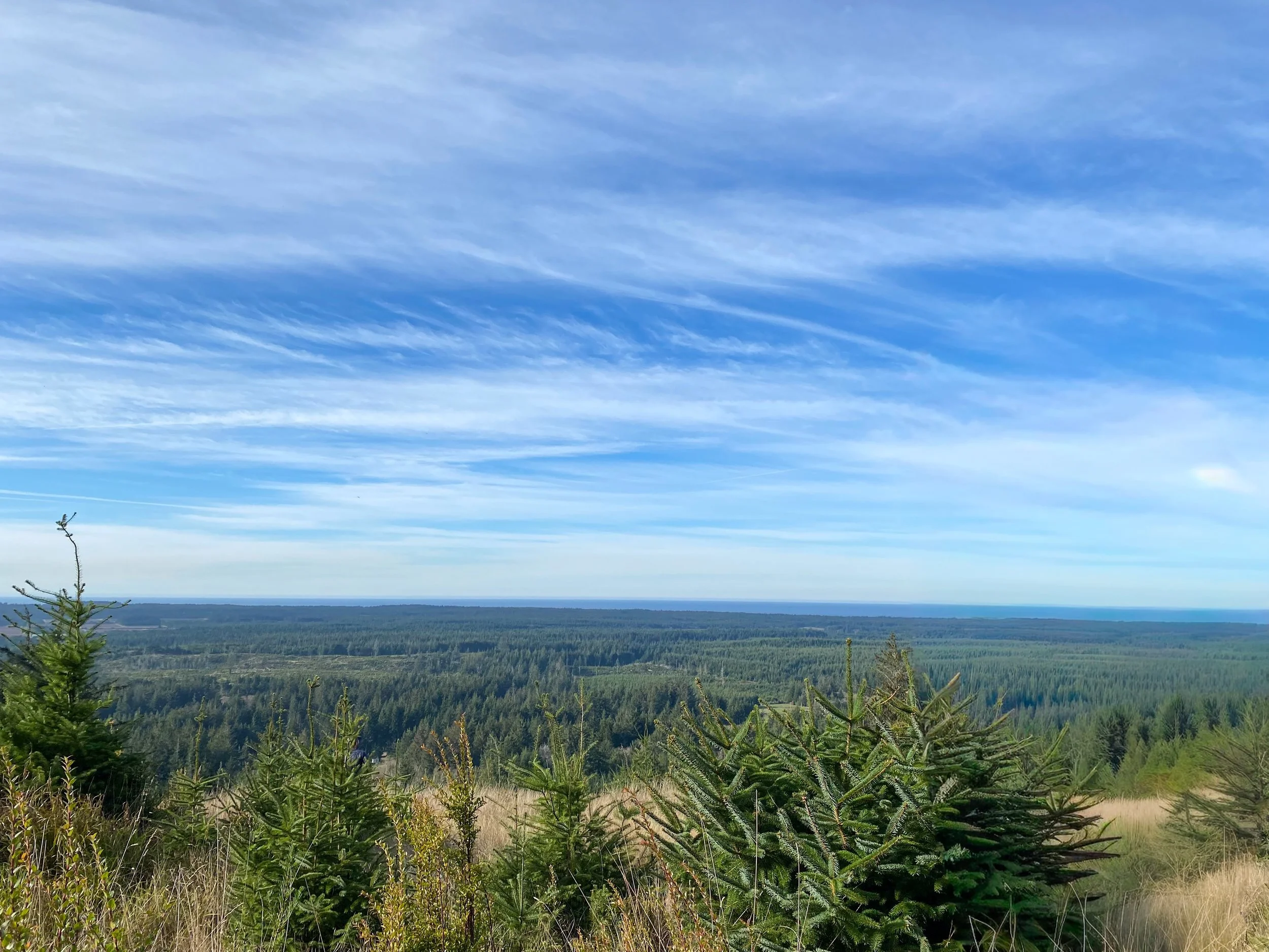 northeast_view_2.jpeg