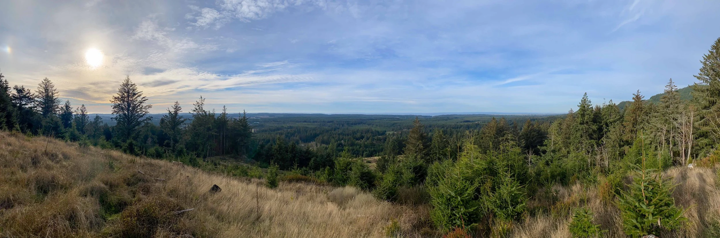 northeast_view_pano.jpg