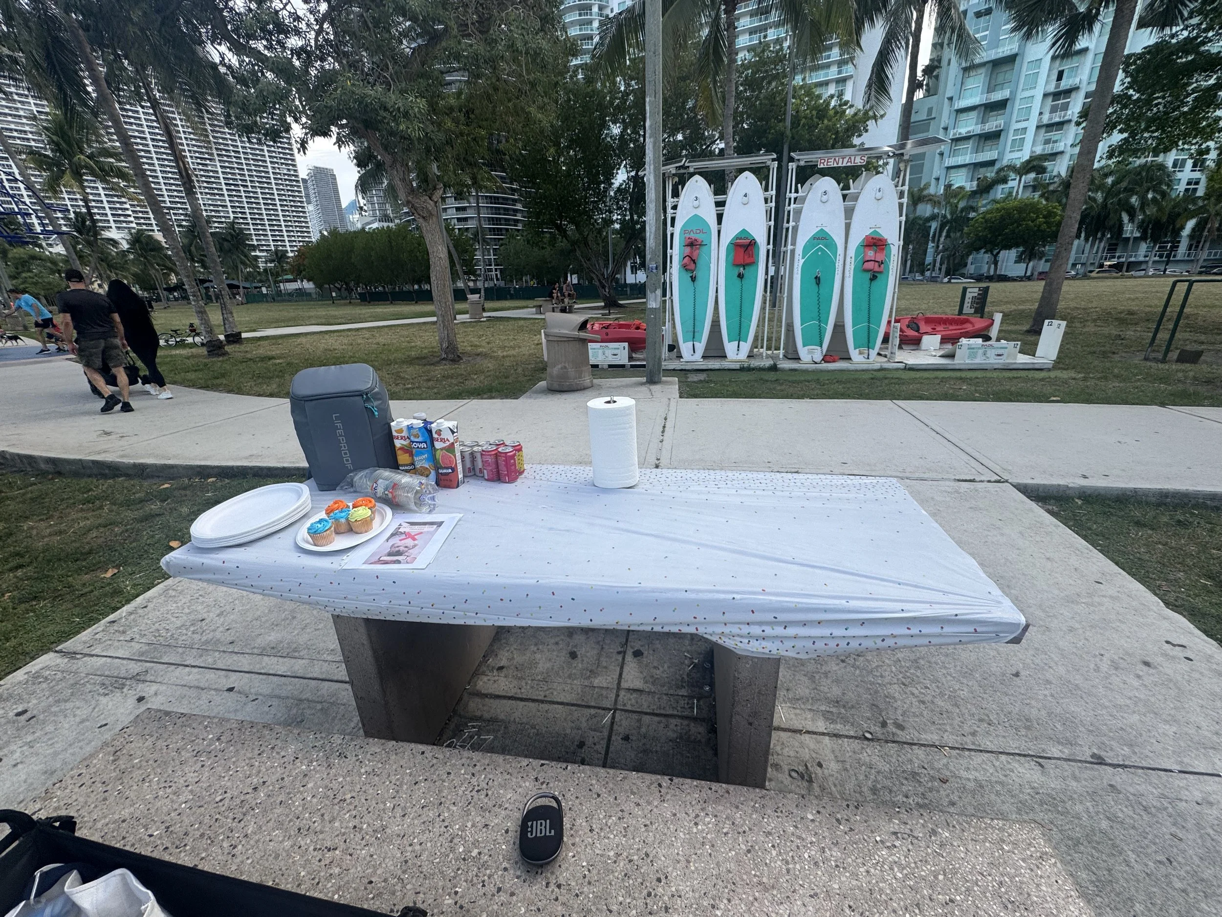 Public park with a table serving snacks including cupcakes and juice, a goodie bag, and a roll of paper towels. Behind, there are paddleboards for rent, trees, people walking, and high-rise buildings in the background.