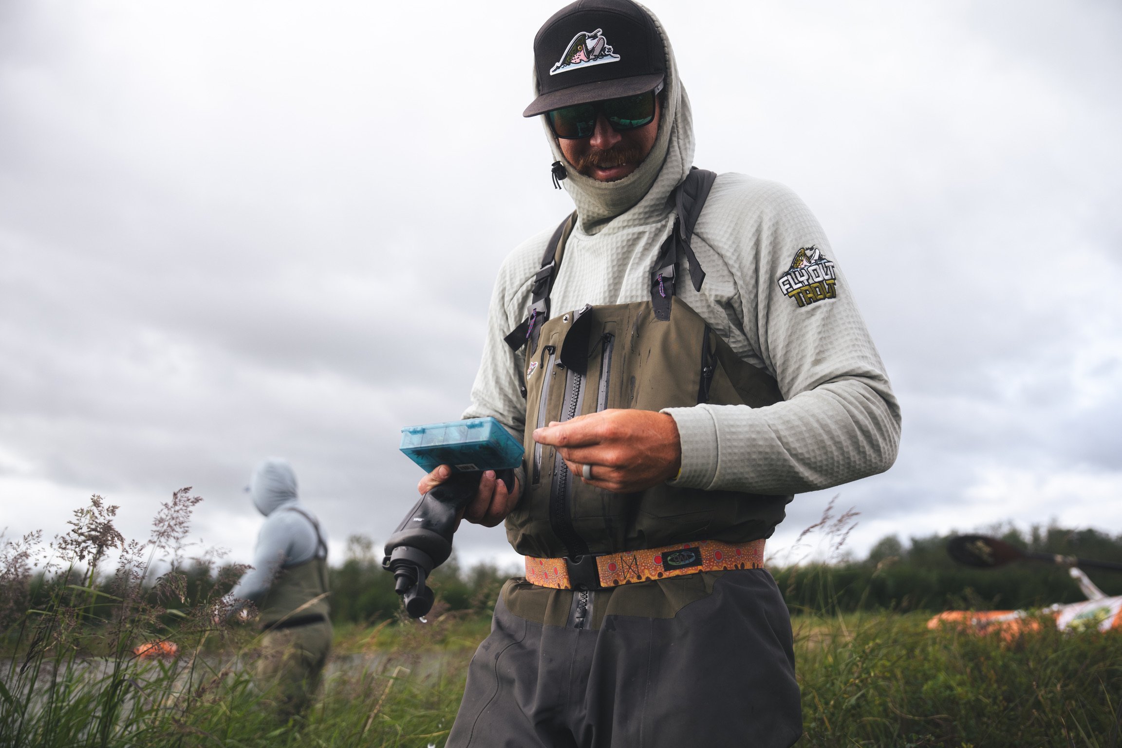 Thuja Berry Patch.JPG