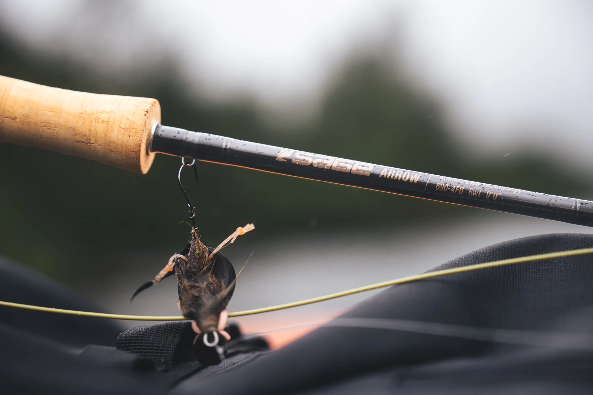 A fishing rod with a fish caught on the hook is visible, held above a dark surface, with a blurry background.