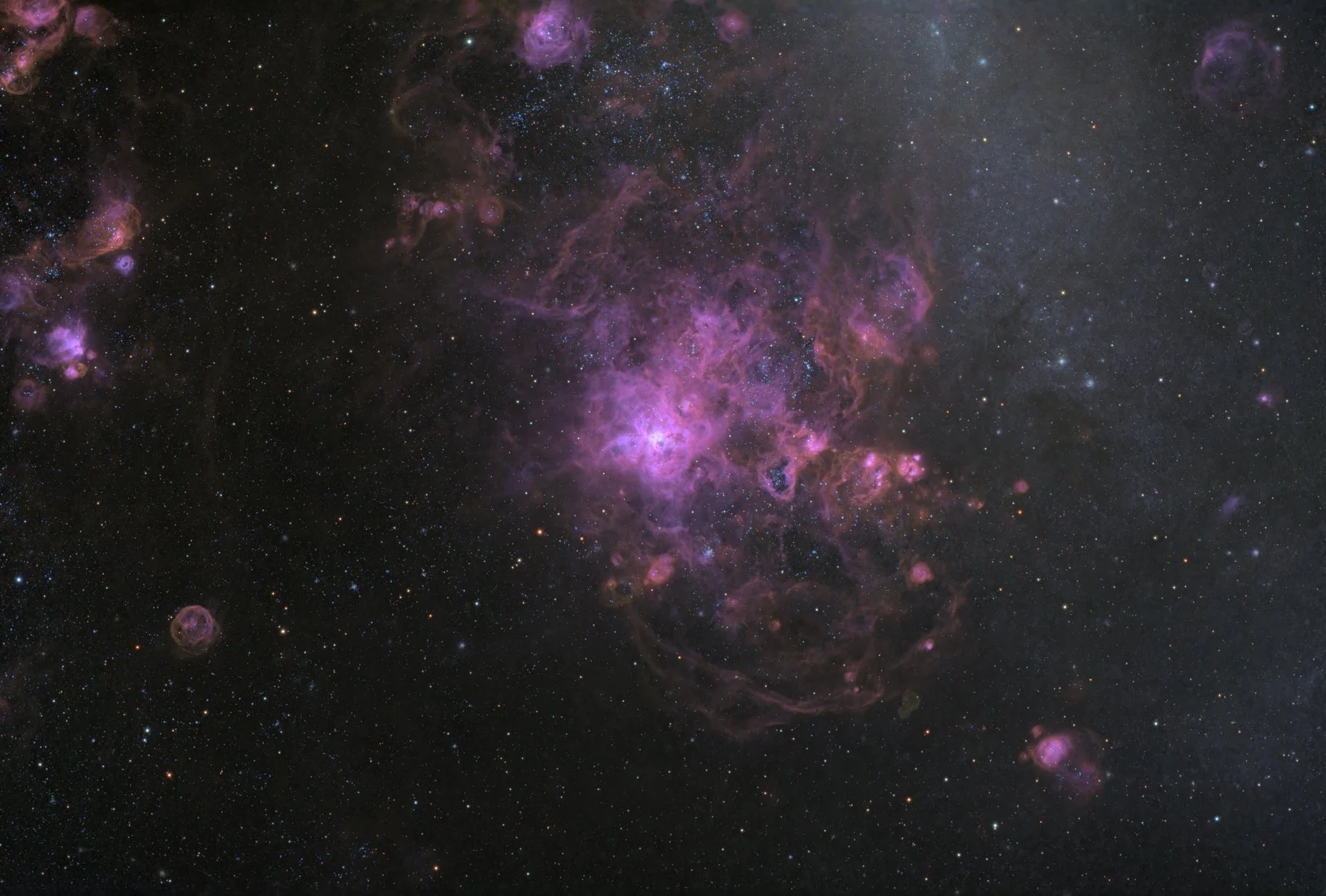 A Jellyfish greets the Tarantula