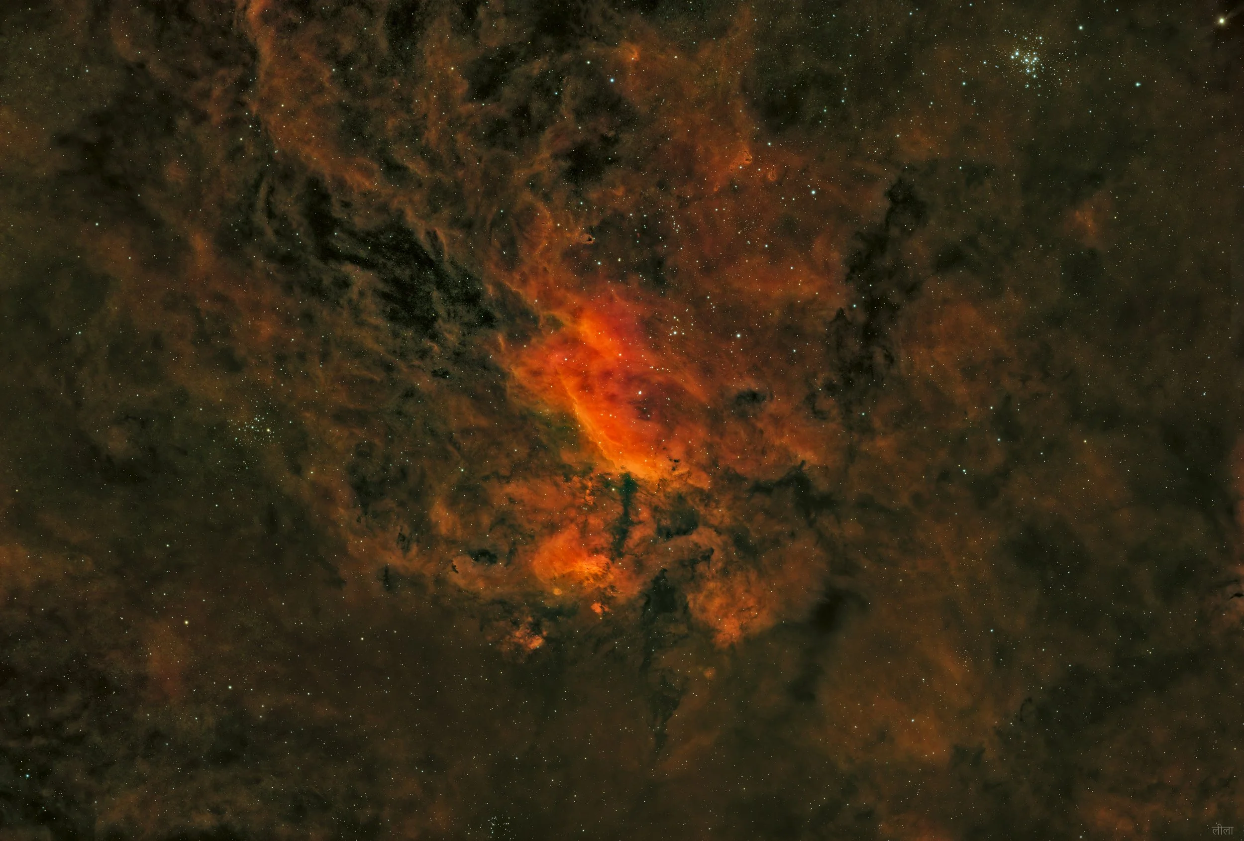 The Fissure