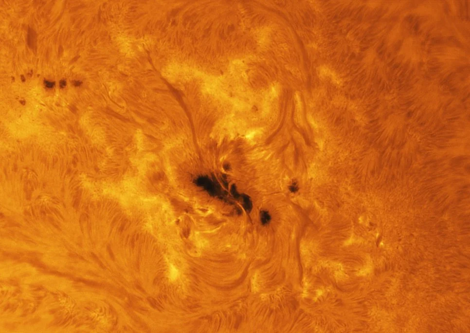 sun 240811 ha clsoeup.jpg