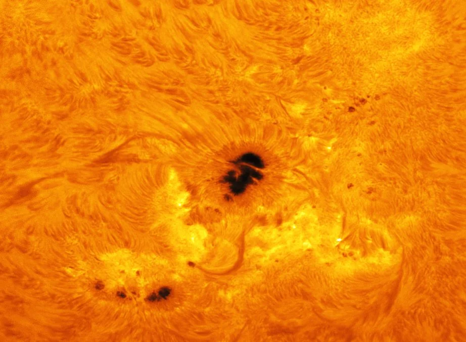 sun 240807 ha closeup.jpg