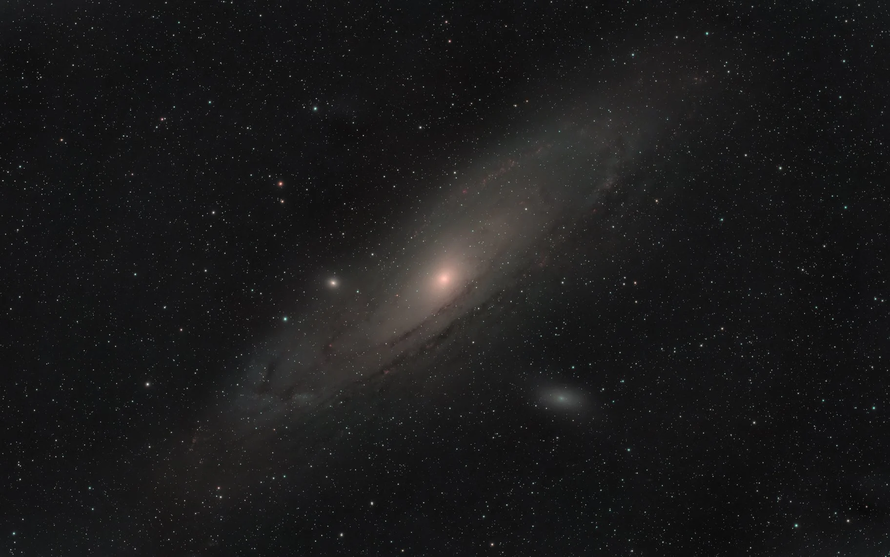 Andromeda