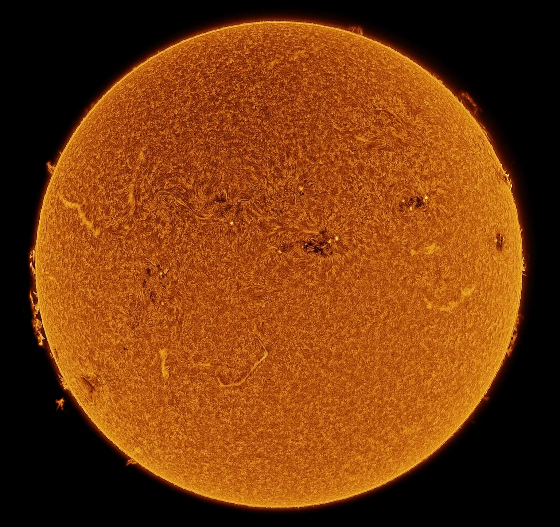 sun 250811 fd inv.jpg