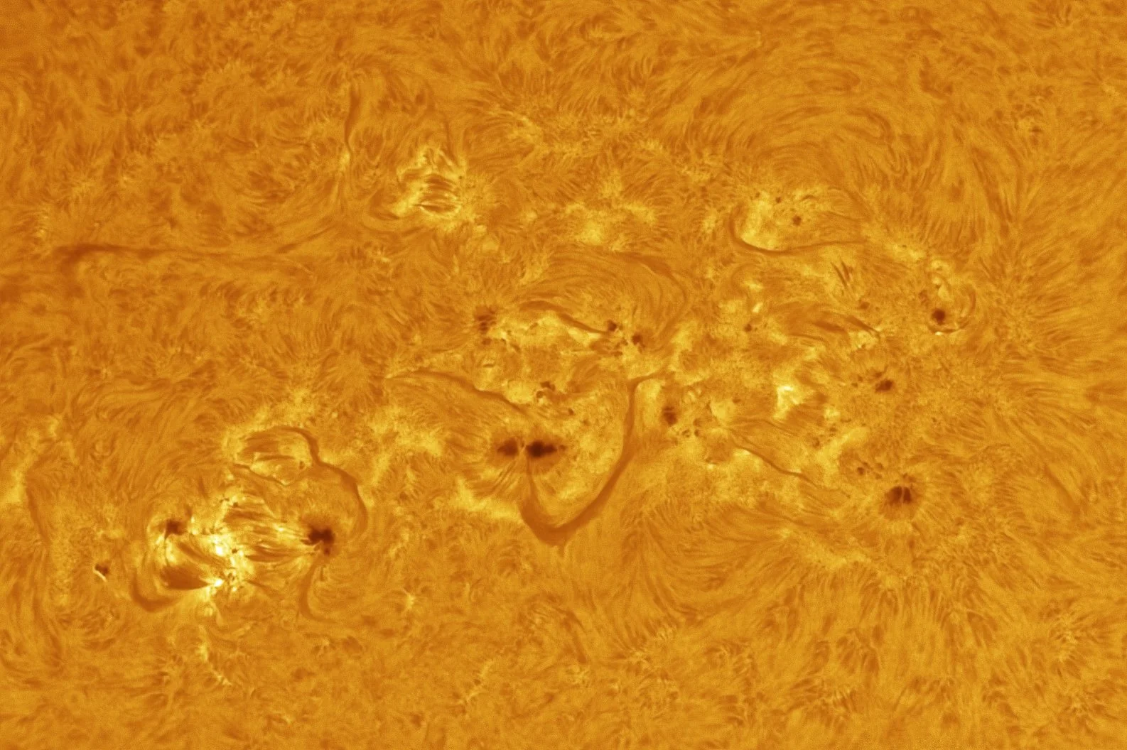 sun 250202 ha closeup.jpg