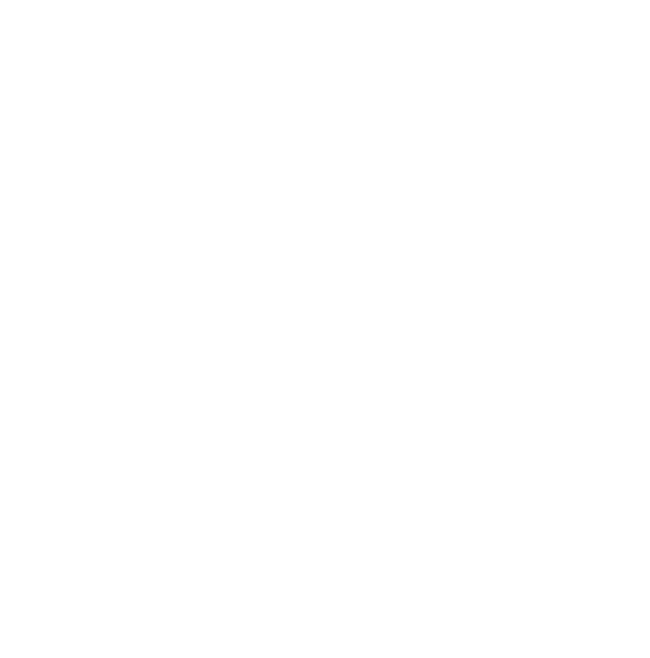 Sitio web Completo (copia)