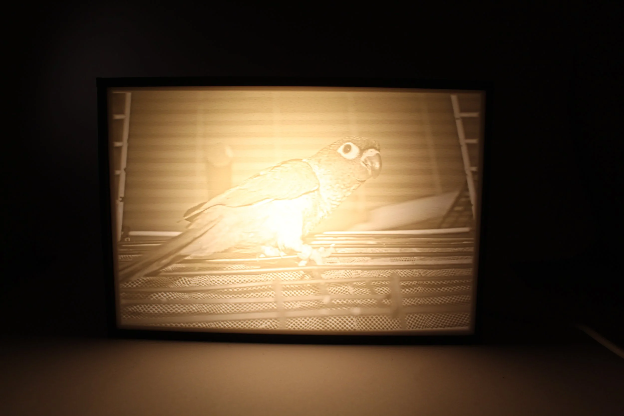 CUSTOM lithopane