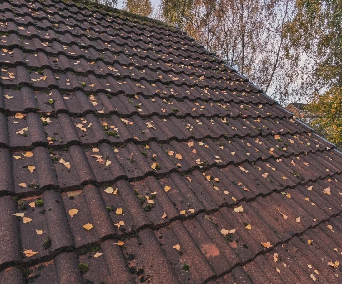 Close-up of a sloped roof with dark red shingles and scattered fallen leaves.