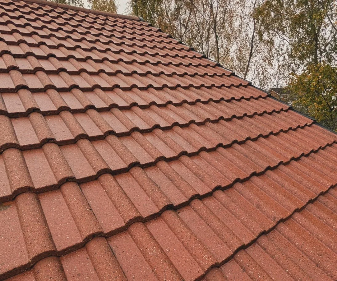 Close-up view of a red clay tile rooftop with trees in the background.