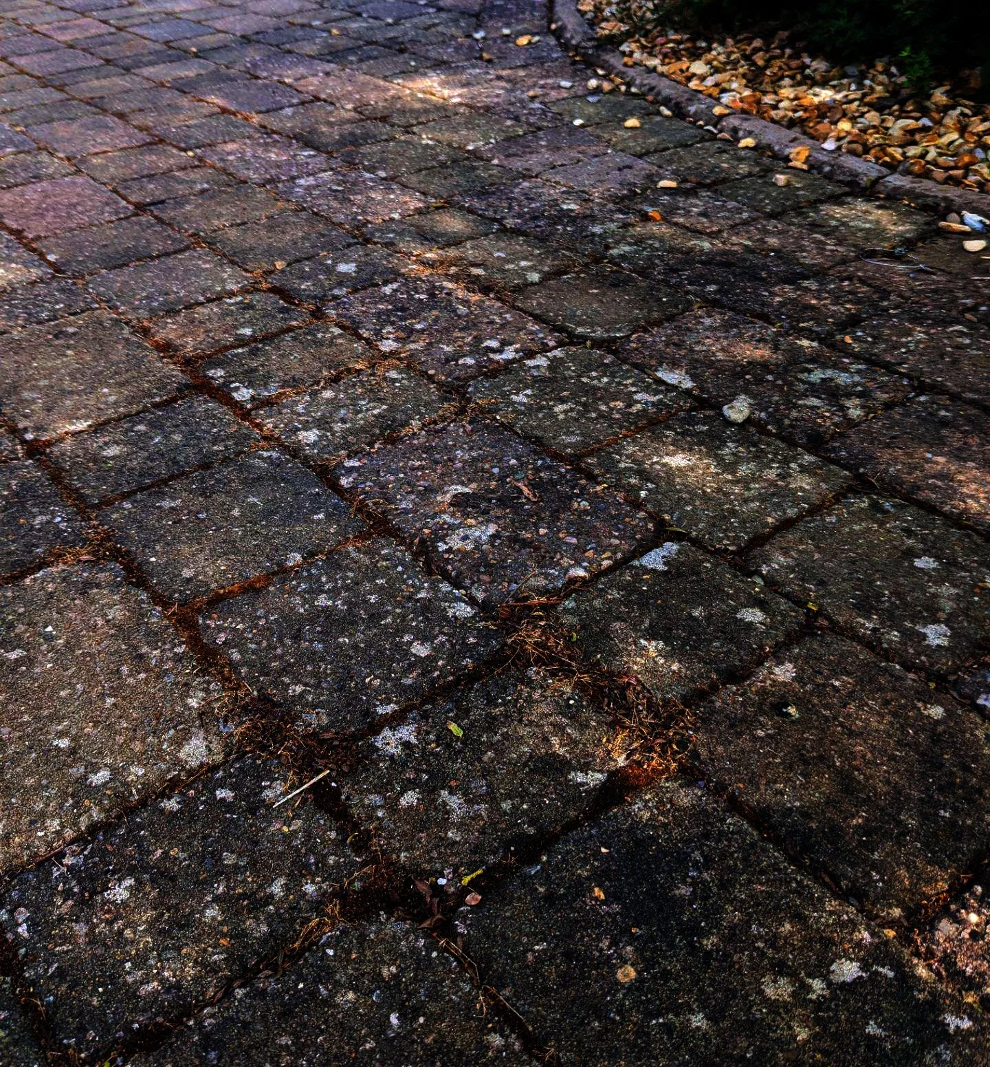 A close-up view of a weathered brick sidewalk with visible moss, dirt, and small debris in the gaps between the bricks.