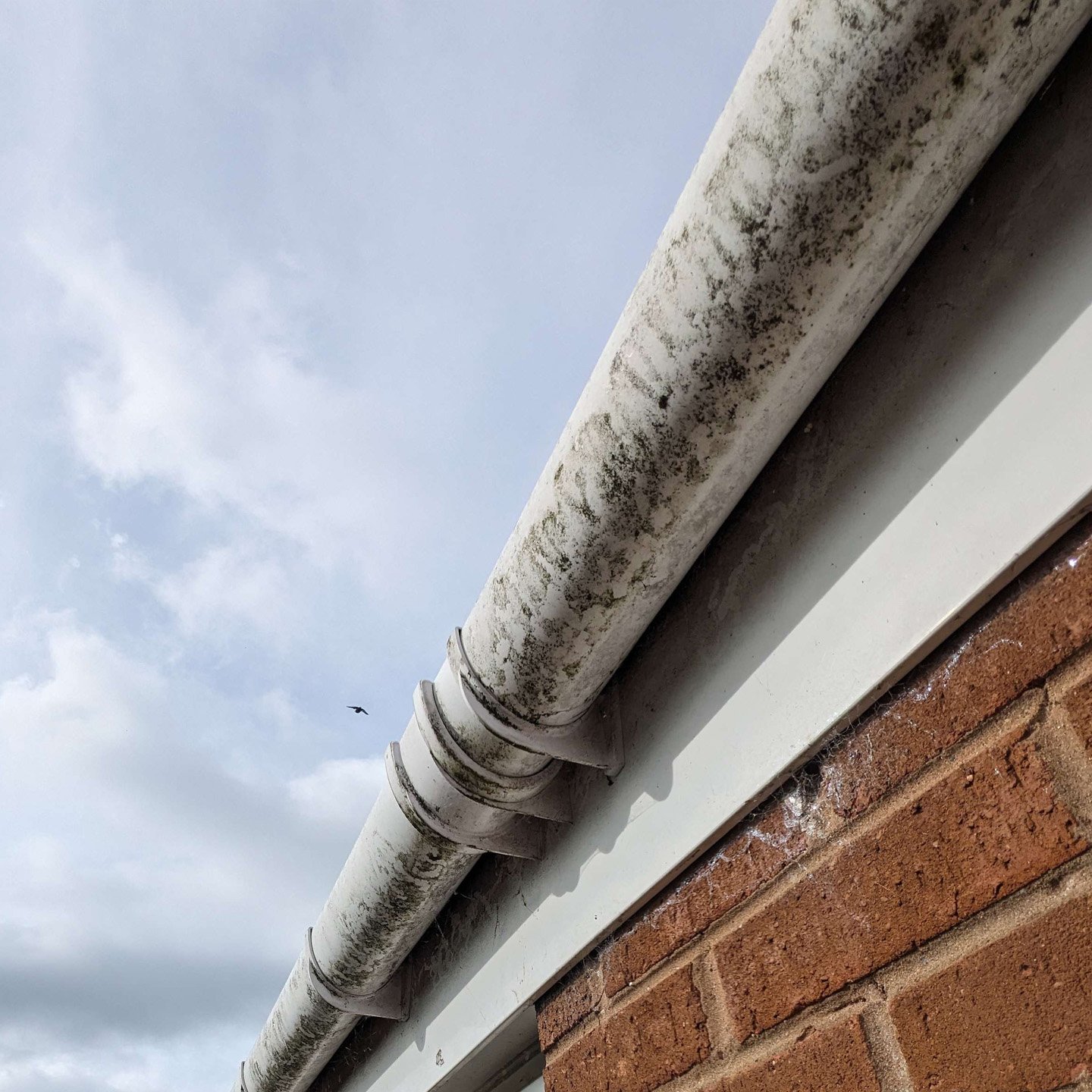 Close-up of a dirty and moldy white gutter attached to a brick wall under a cloudy sky.