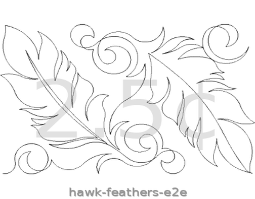 hawk-feathers-e2e.png