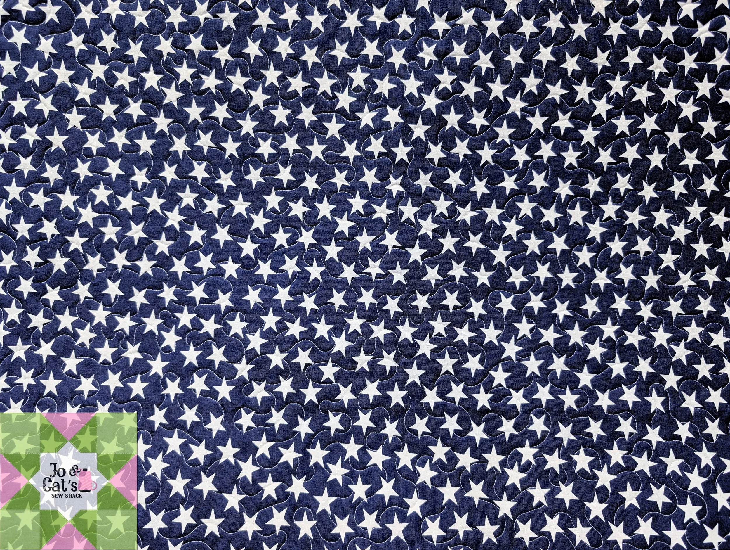 049 Sandpiper Project T-Shirt Quilt #3_02.jpg