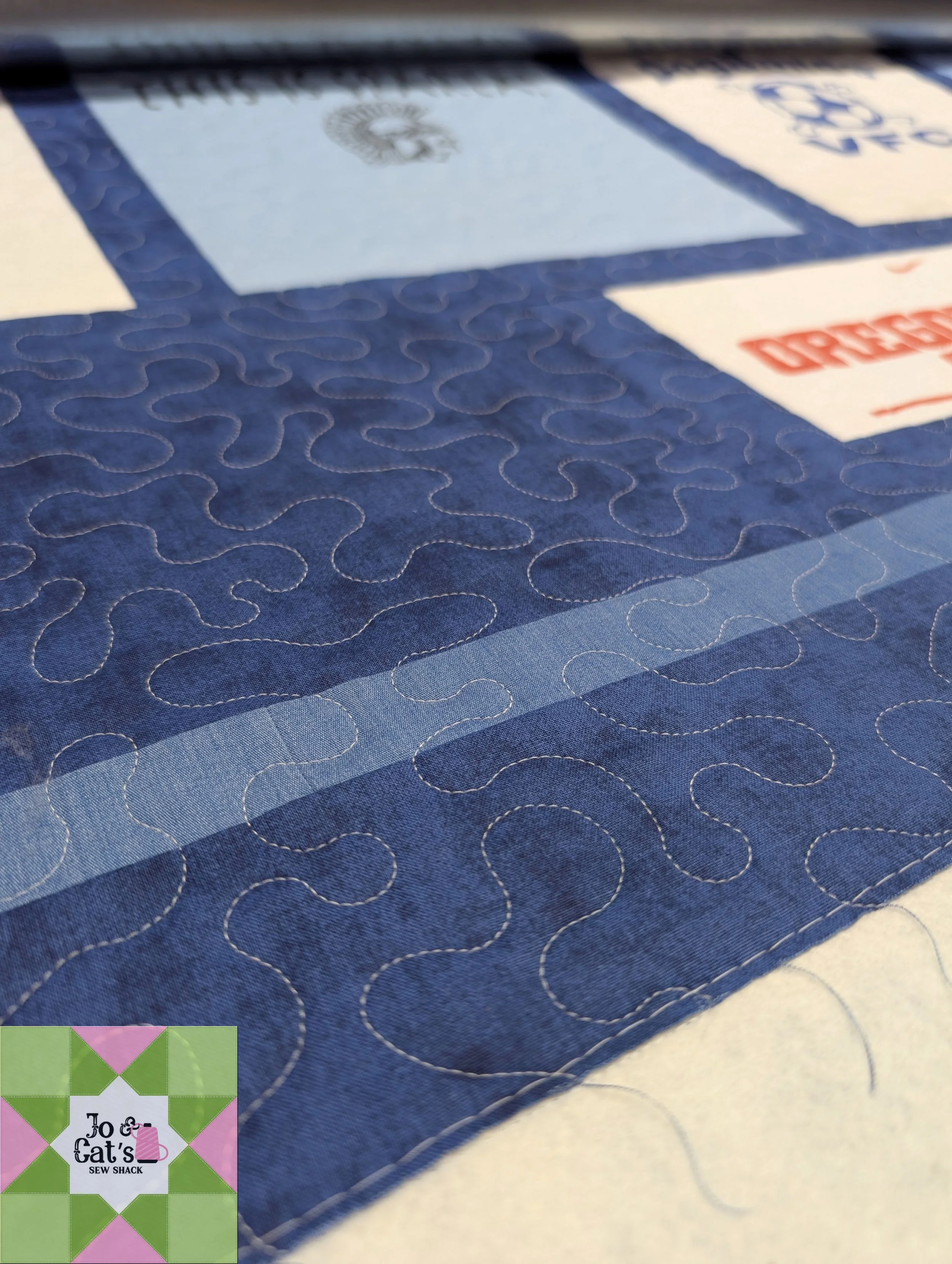 049 Sandpiper Project T-Shirt Quilt #3_01.jpg