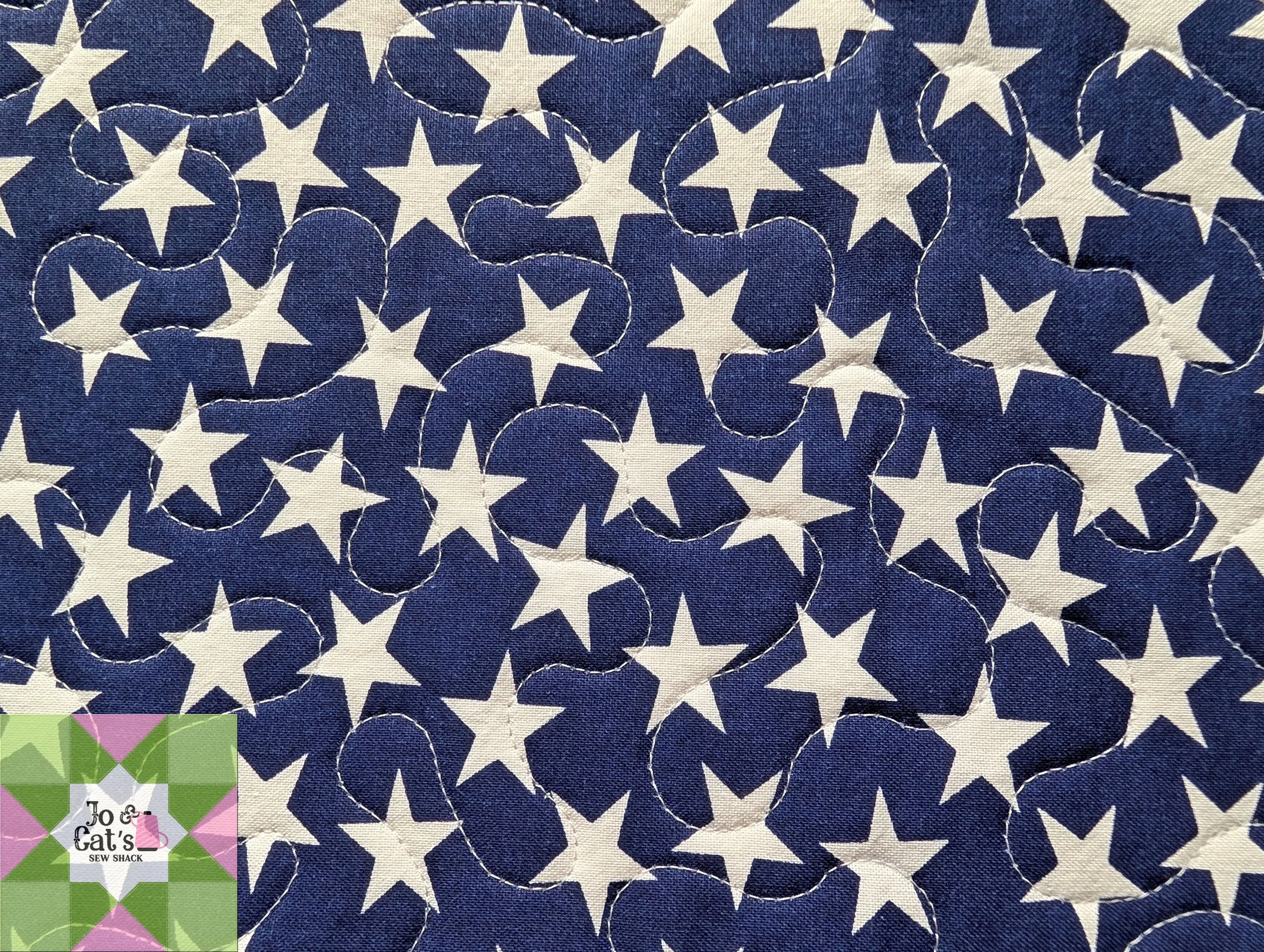 049 Sandpiper Project T-Shirt Quilt #3_03.jpg