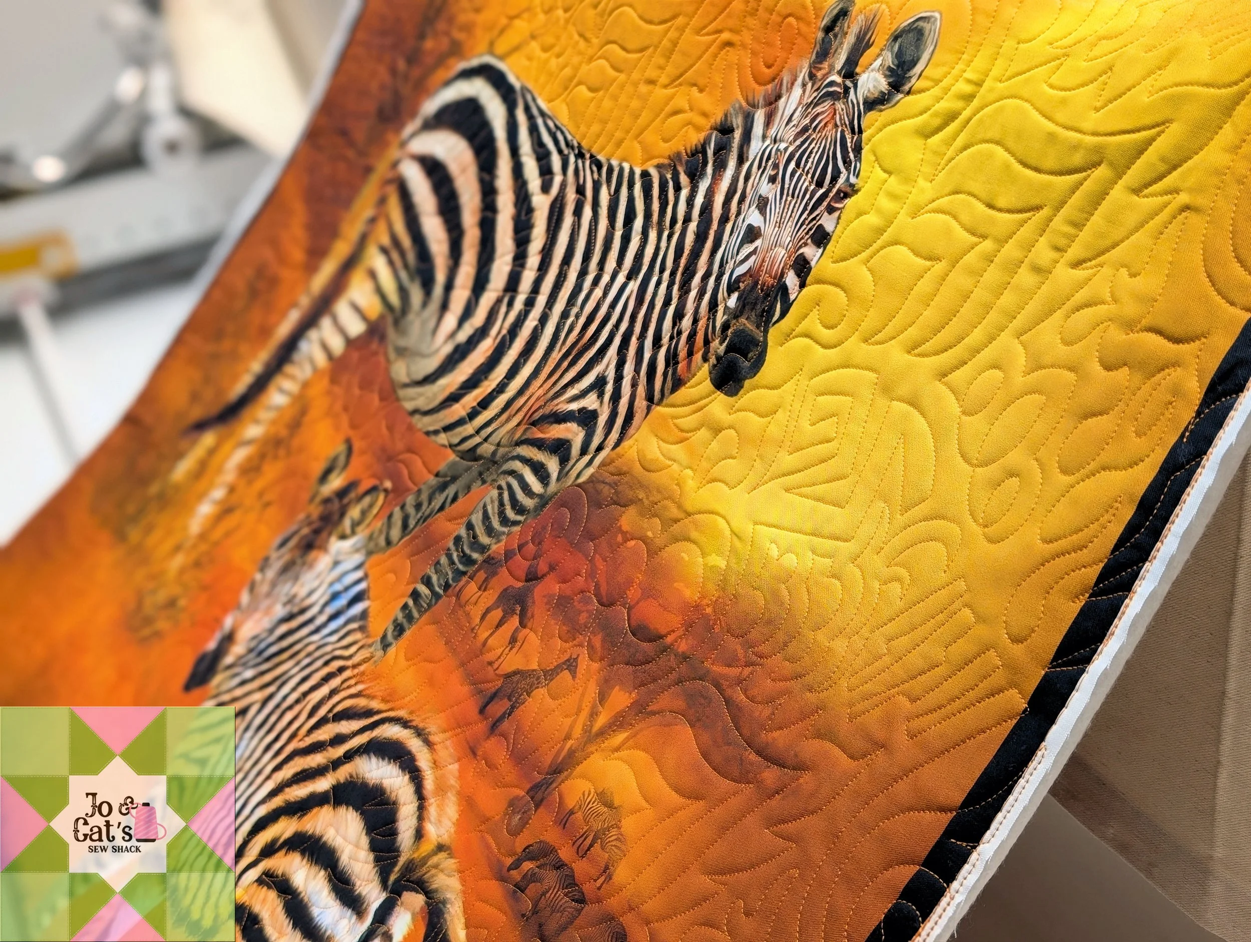 JJ Zebra Sample 19.jpg