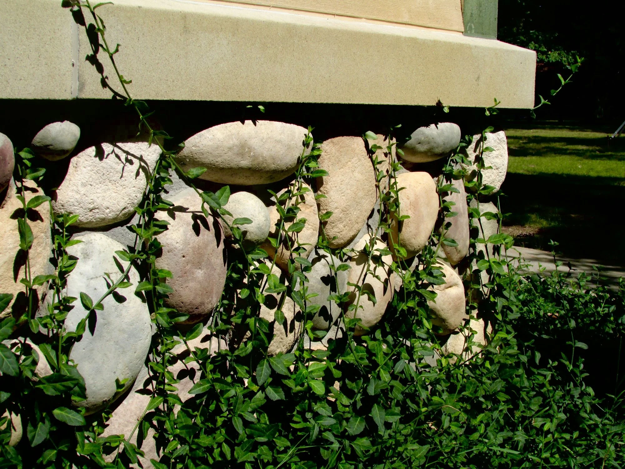 Overgrown (2).jpeg